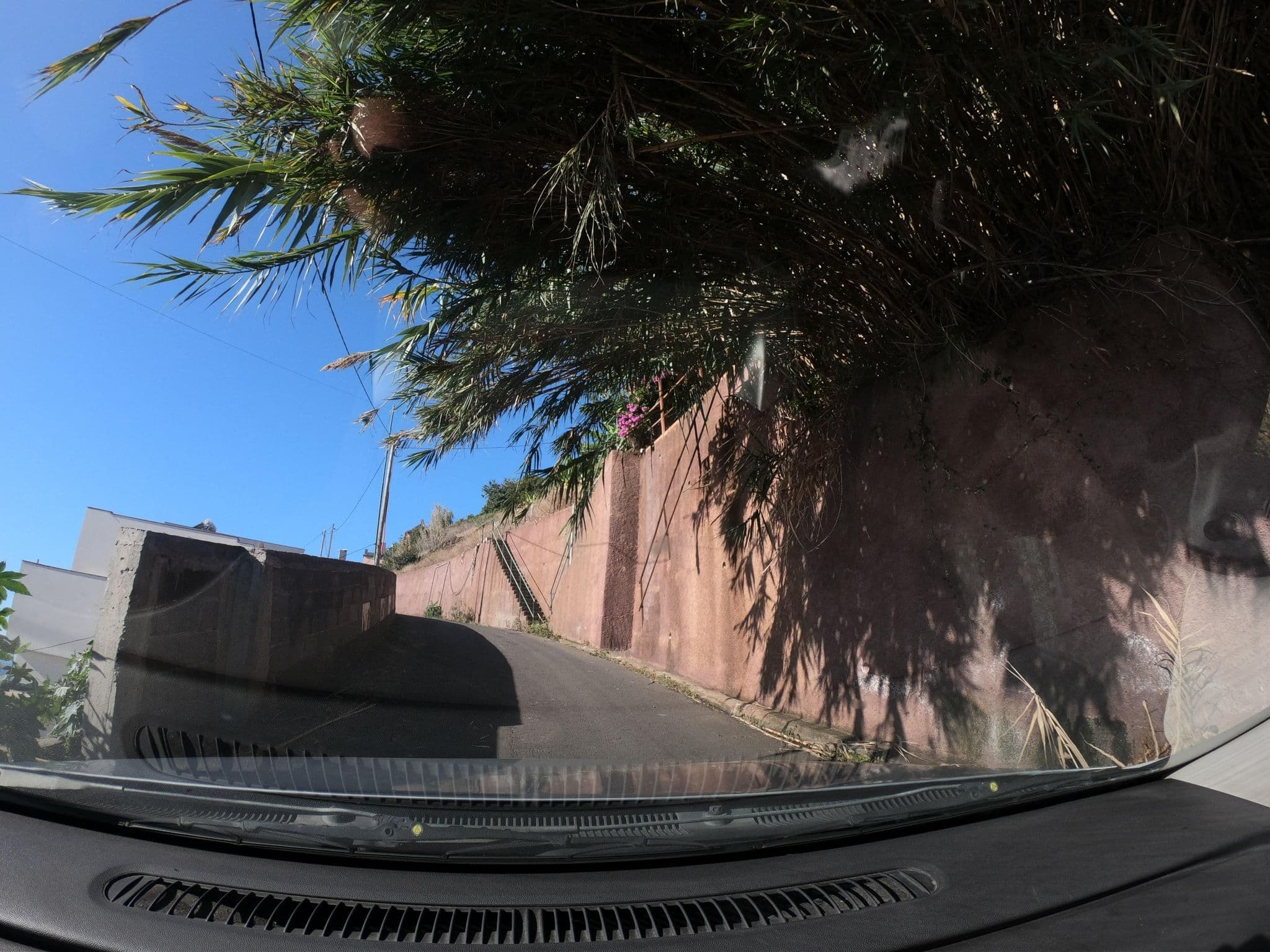 Street view near Les Terrasses, Arco da Calheta — © filipesilva (CC BY-SA · Mapillary)
