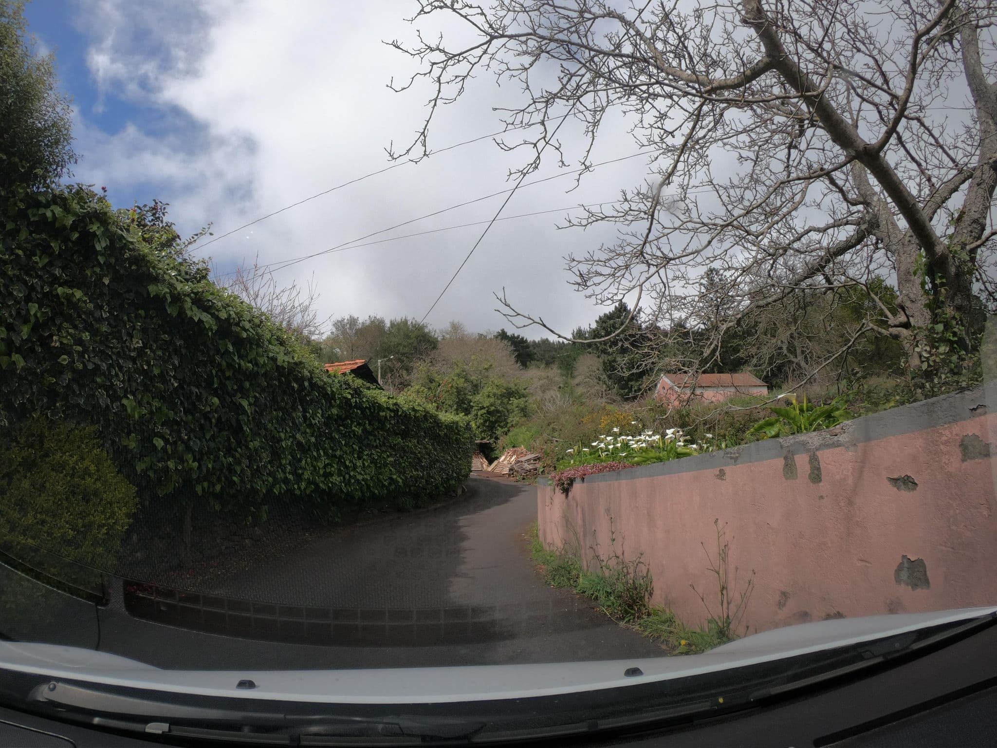 Street view near Casas Valleparaizo Mountain, Camacha — © filipesilva (CC BY-SA · Mapillary)