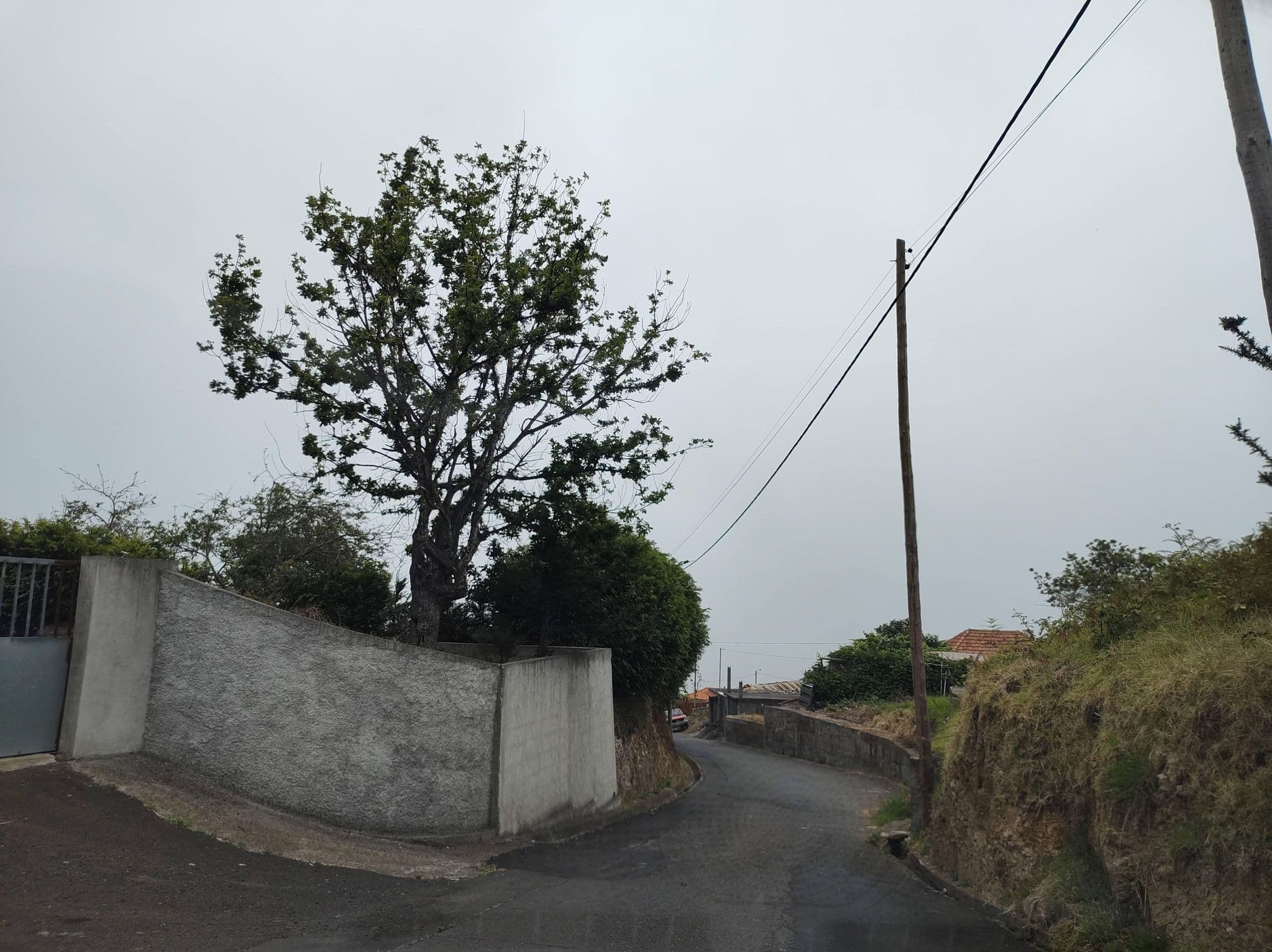 Street view near Casa do Vargas, Estreito da Calheta — © thetornado76 (CC BY-SA · Mapillary)