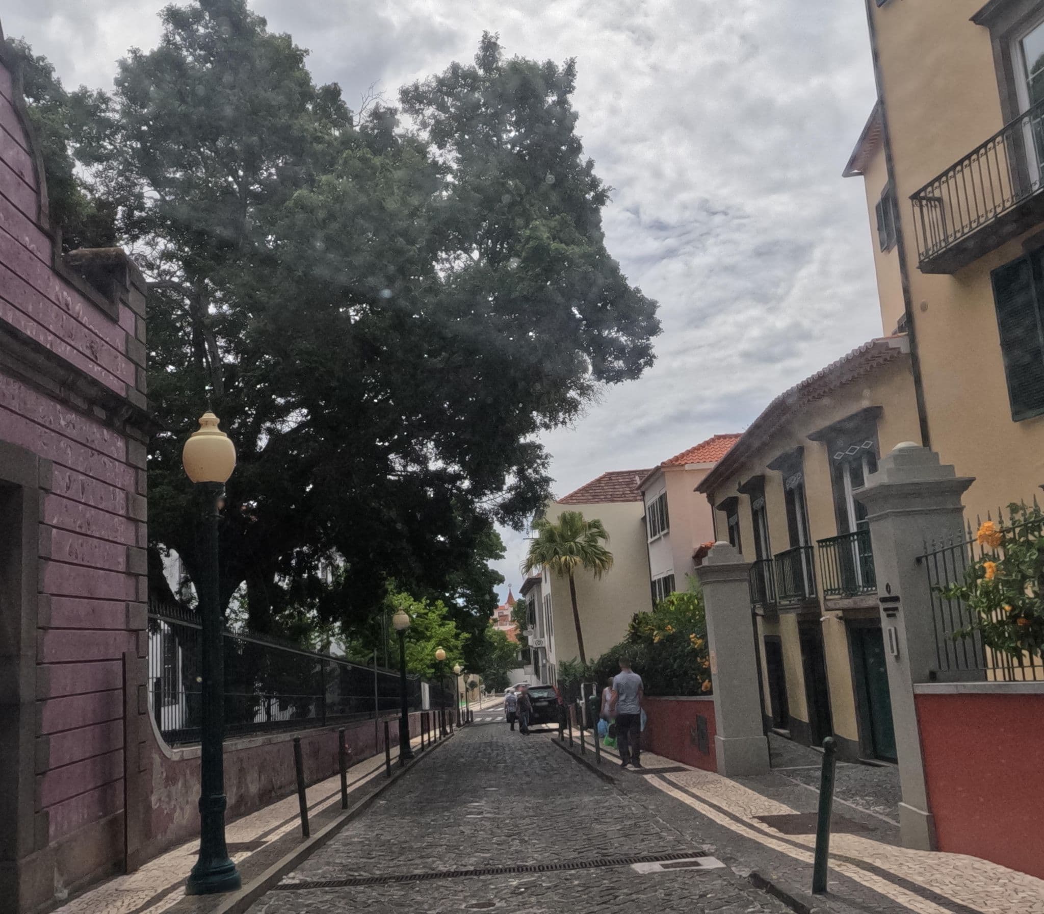 Street view near Apartamentos Turísticos Castanheiro, Santa Luzia — © nunocaldeira (CC BY-SA · Mapillary)