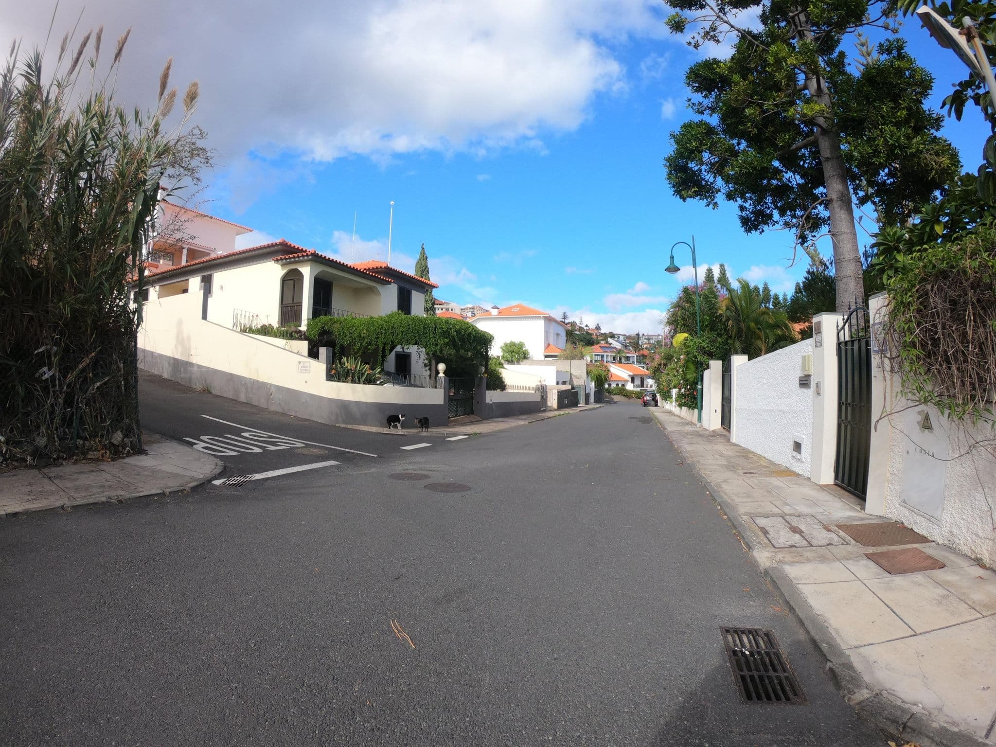 Street view near villa albatroz, Caniço — © filipesilva (CC BY-SA · Mapillary)