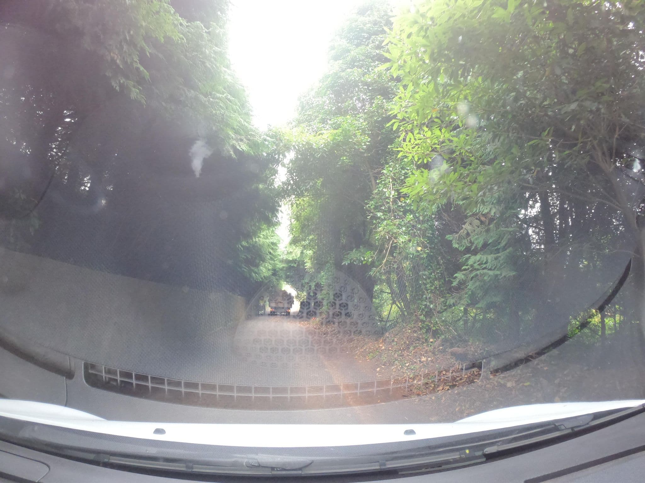 Street view near Quinta das Eiras, Santa Cruz — © filipesilva (CC BY-SA · Mapillary)