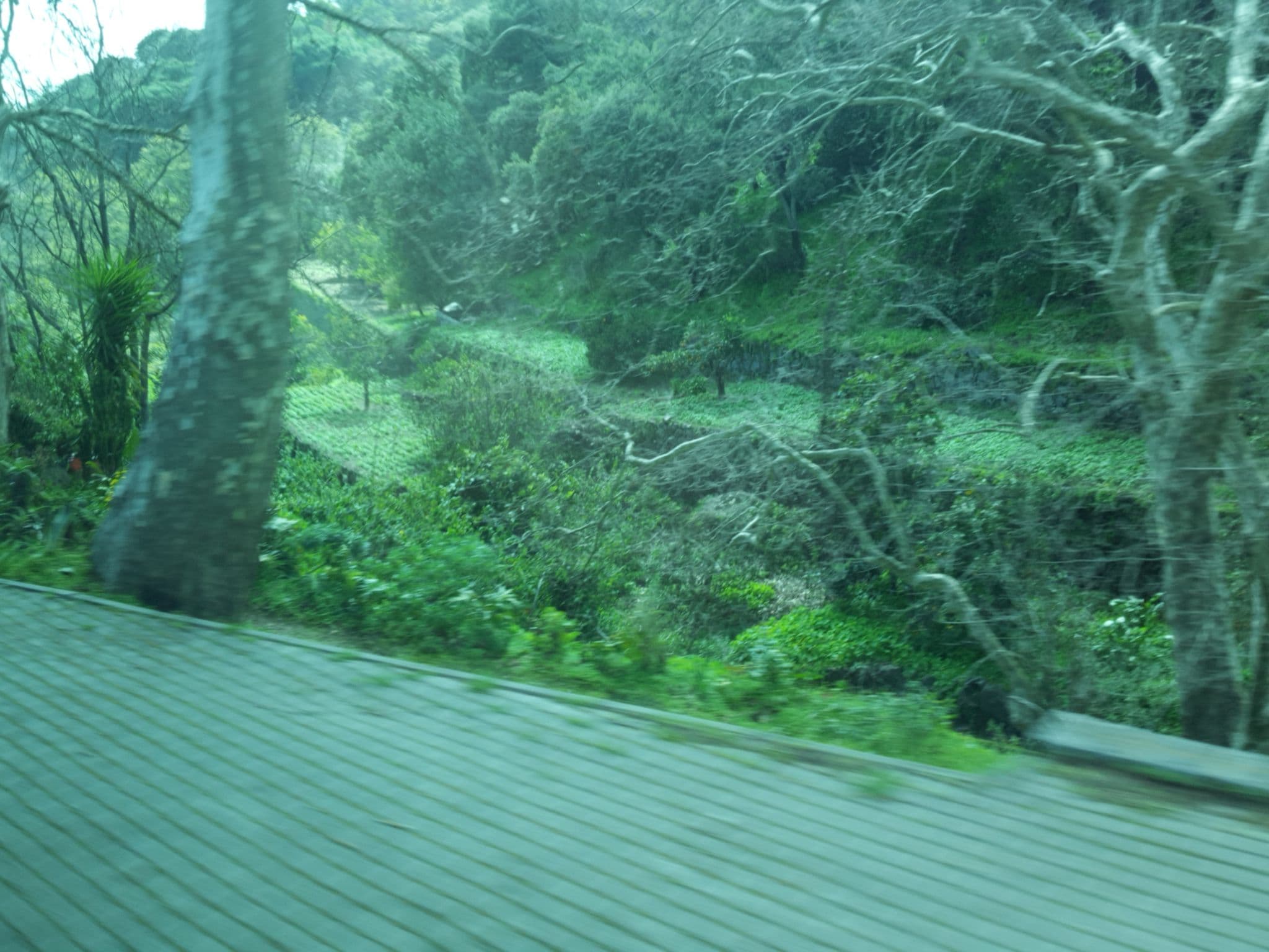 Street view near My Room – Villa Vina ® - TER, Monchique — © hobgoblin (CC BY-SA · Mapillary)