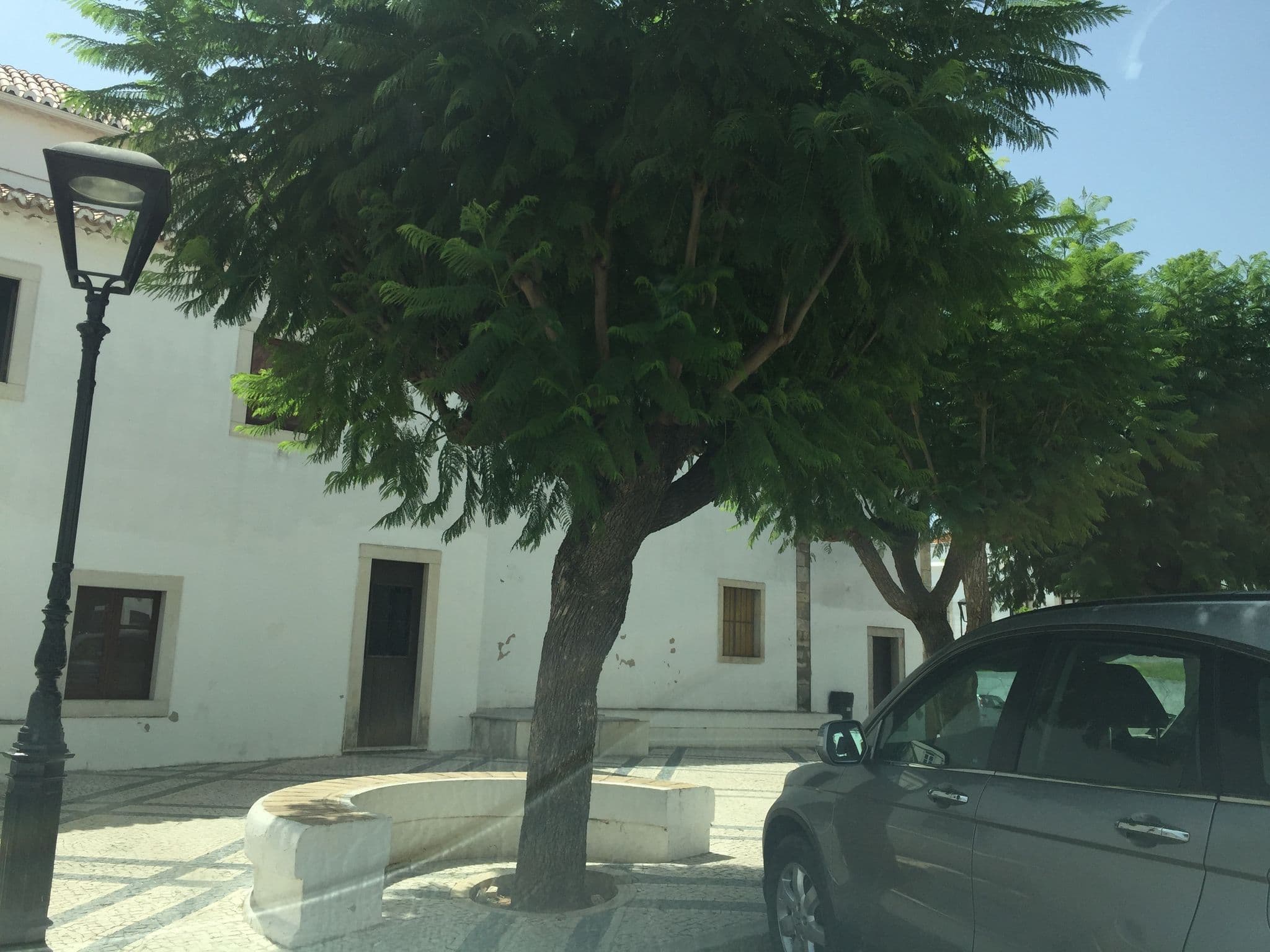 Street view near Casa do Moinho do Zambujal, Boliqueime — © ptmap (CC BY-SA · Mapillary)