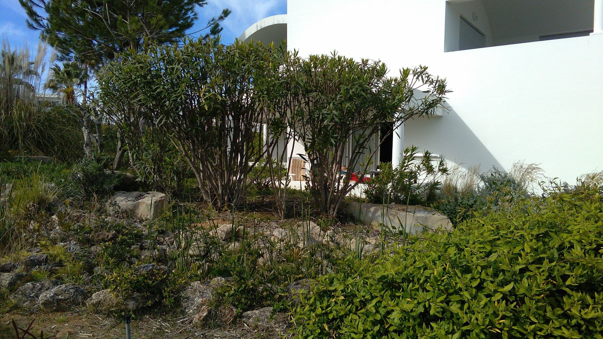 Street view near Hapimag Resort Albufeira, Albufeira — © dcp (CC BY-SA · Mapillary)