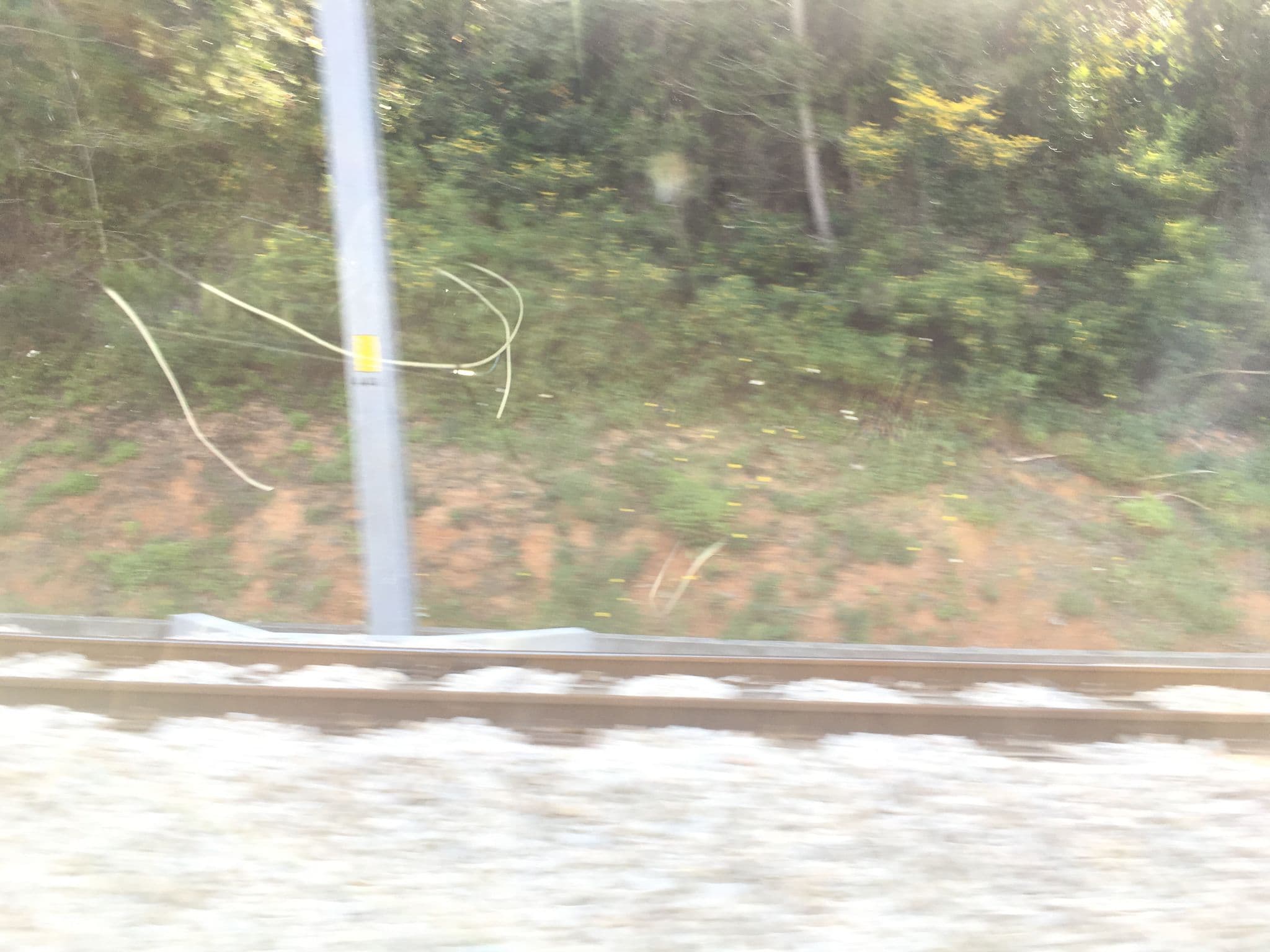 Street view near Quinta Da Caloura, Sintra — © davipt (CC BY-SA · Mapillary)