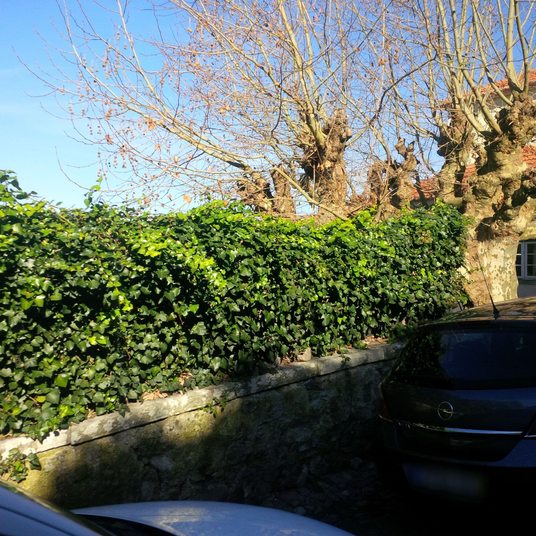 Street view near Palacio De Sinta Bed & Breakfast, Sintra — © agranizo (CC BY-SA · Mapillary)