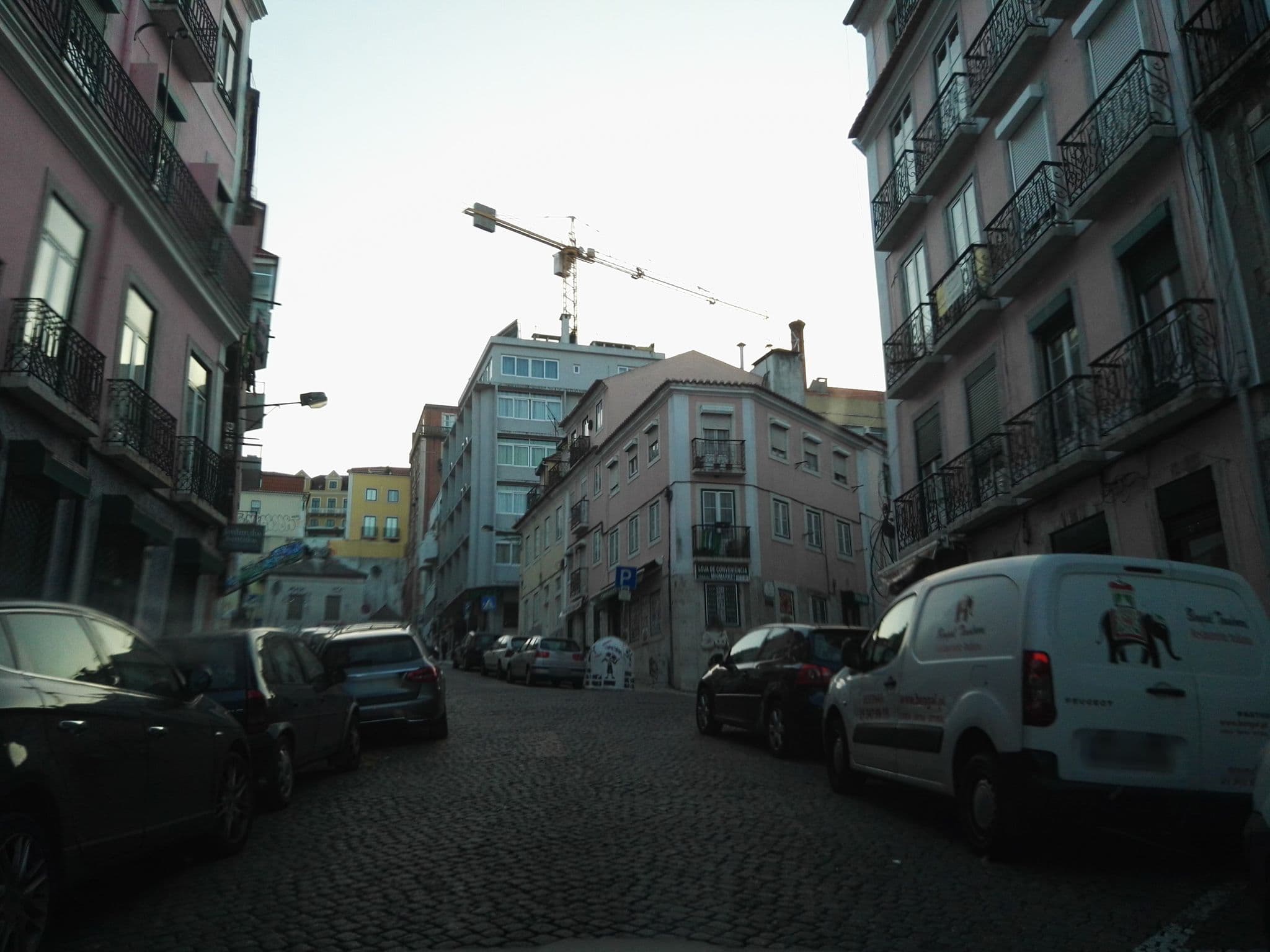 Street view near Charming Alegria by Homing, Principe Real — © filipegraciosa (CC BY-SA · Mapillary)