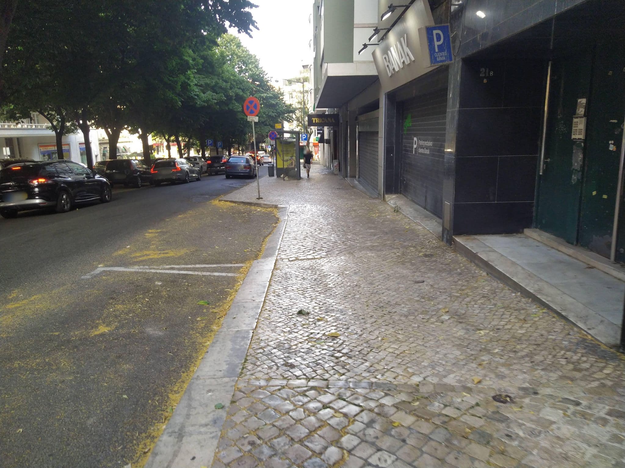 Street view near Nara - Projectos, Construção e Turismo, S.A., São Jorge de Arroios — © luisjfvieira (CC BY-SA · Mapillary)