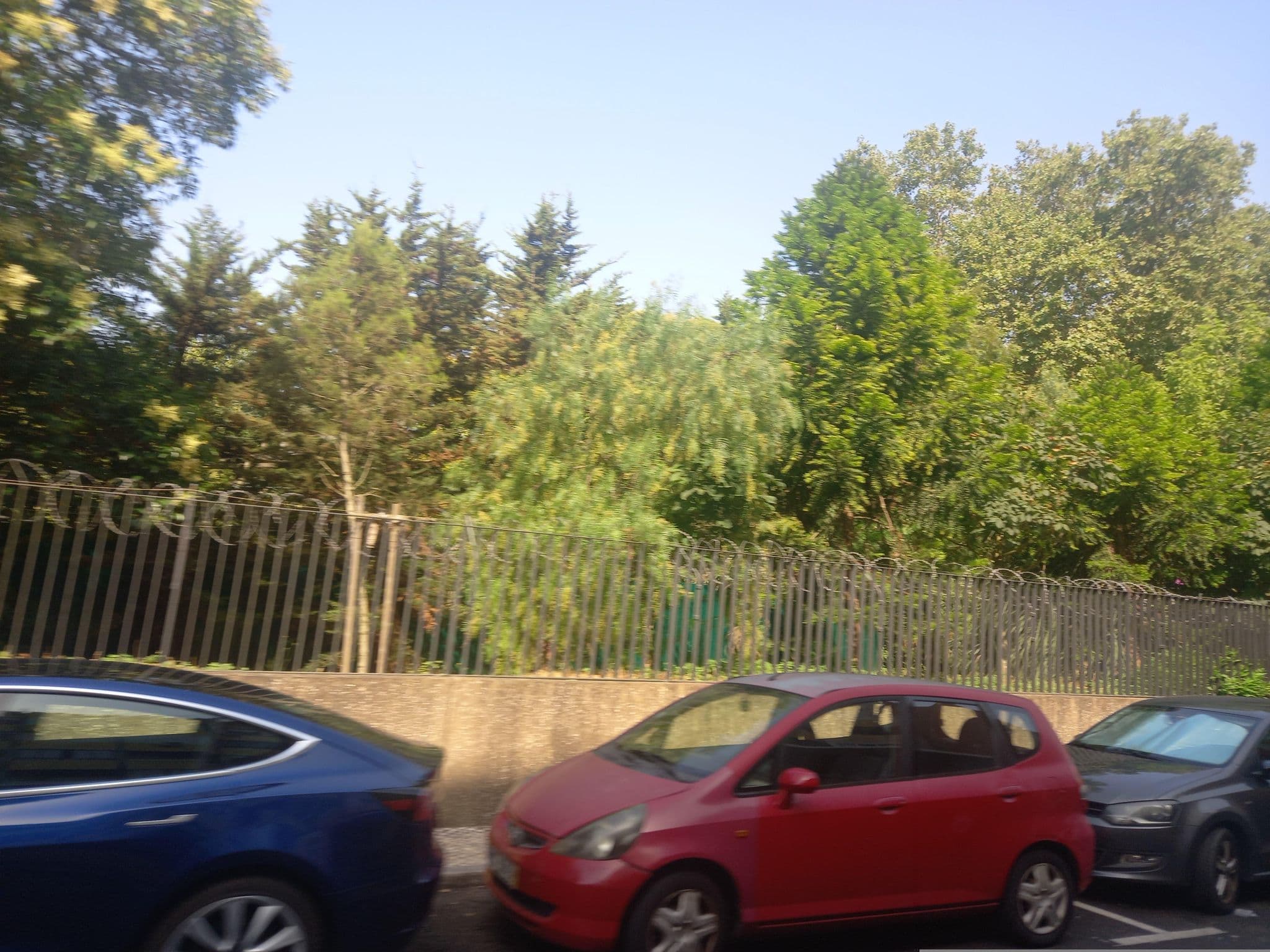 Street view near Resting Points - Laranjeiras, Sete Rios — © danielagos12 (CC BY-SA · Mapillary)