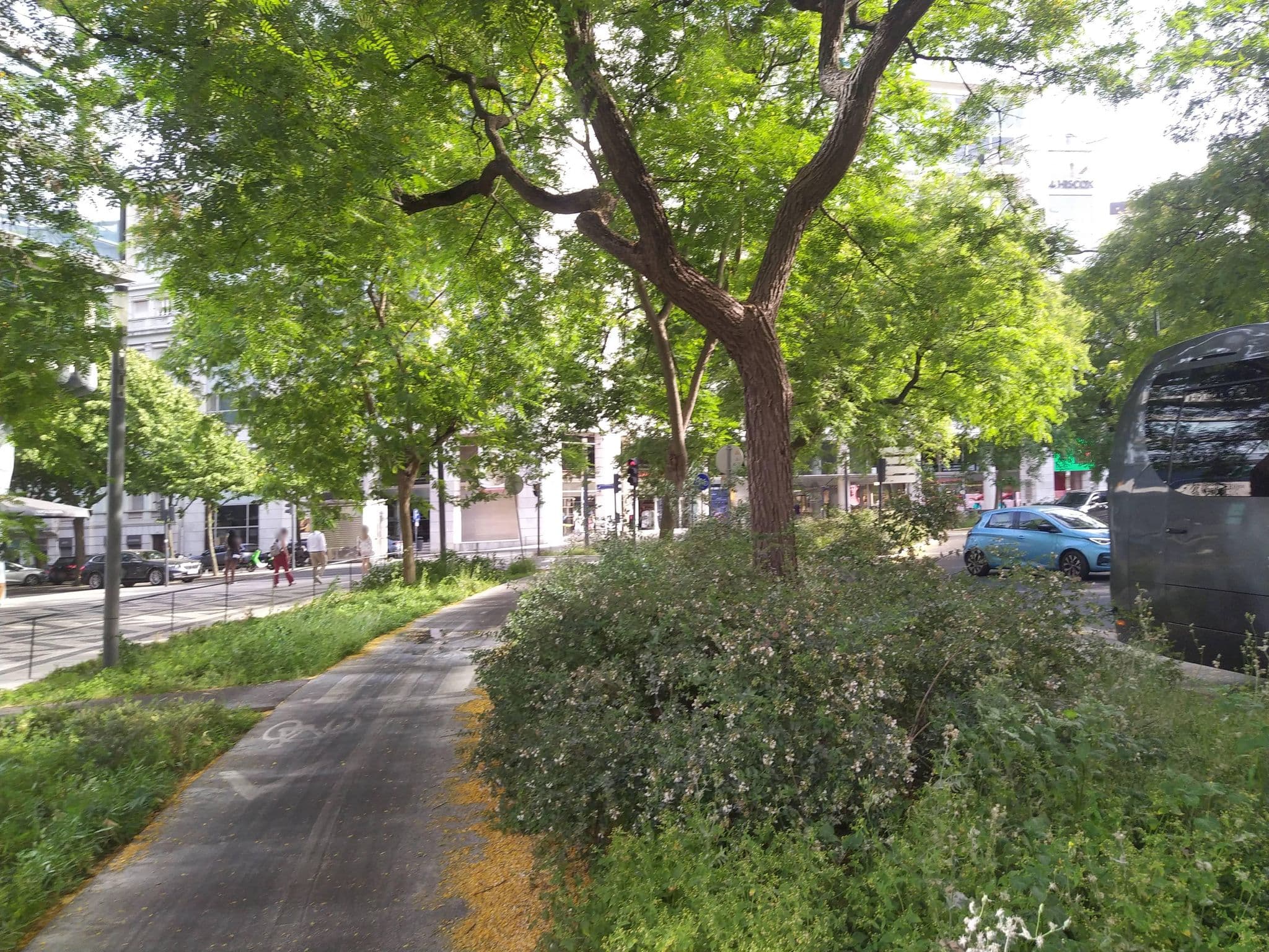 Street view near gym @evolution sandalha, São Jorge de Arroios — © luisjfvieira (CC BY-SA · Mapillary)