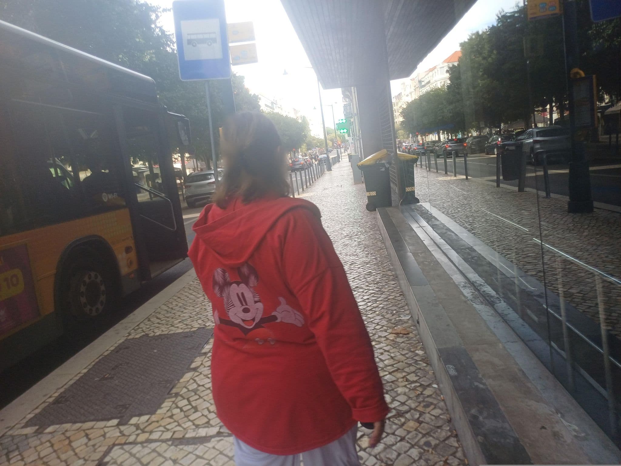 Street view near Chaves & Guedes, São Sebastião da Pedreira — © beer119 (CC BY-SA · Mapillary)