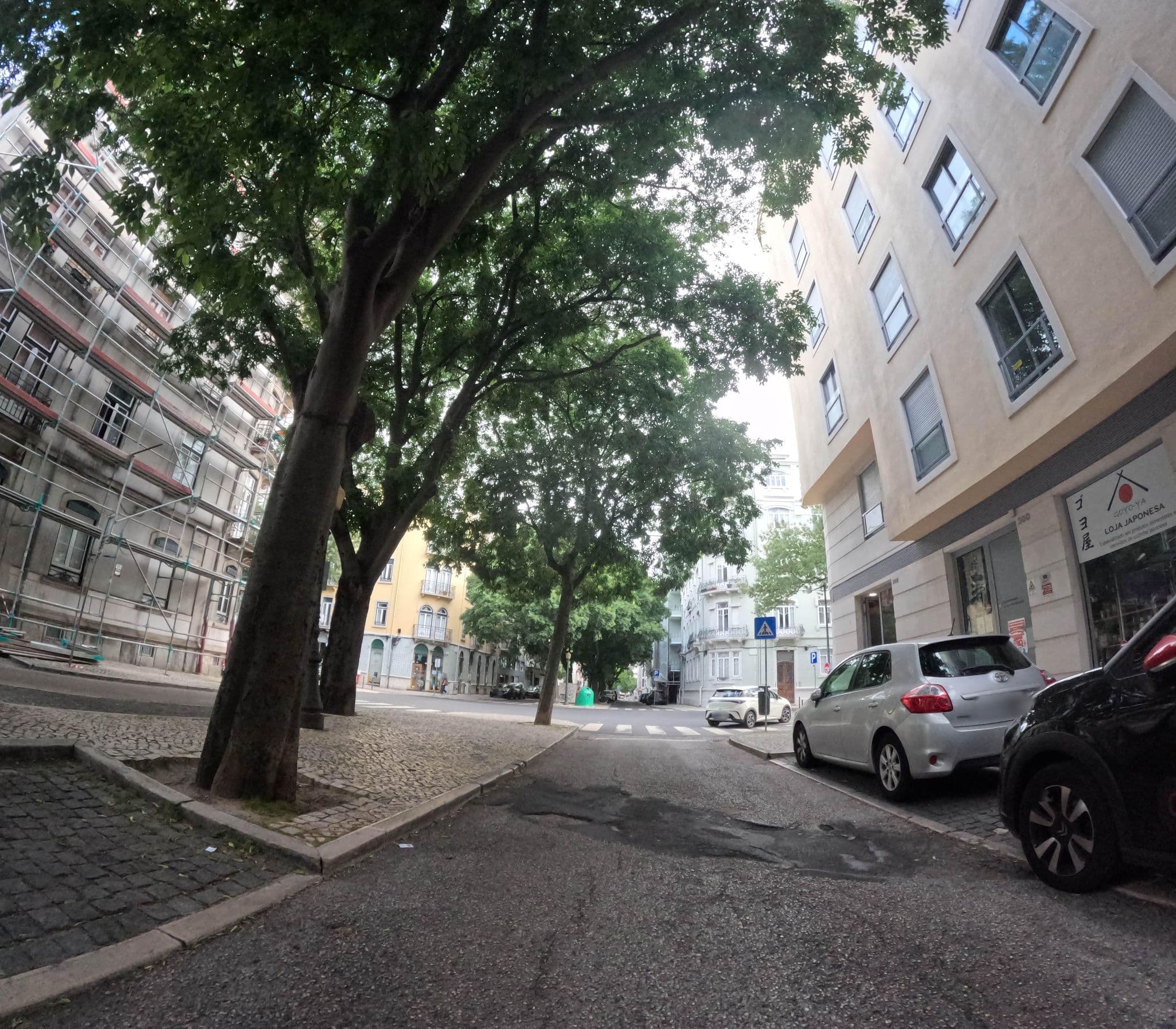 Street view near Saldanha Pool & Garden, São Sebastião da Pedreira — © danielagos12 (CC BY-SA · Mapillary)