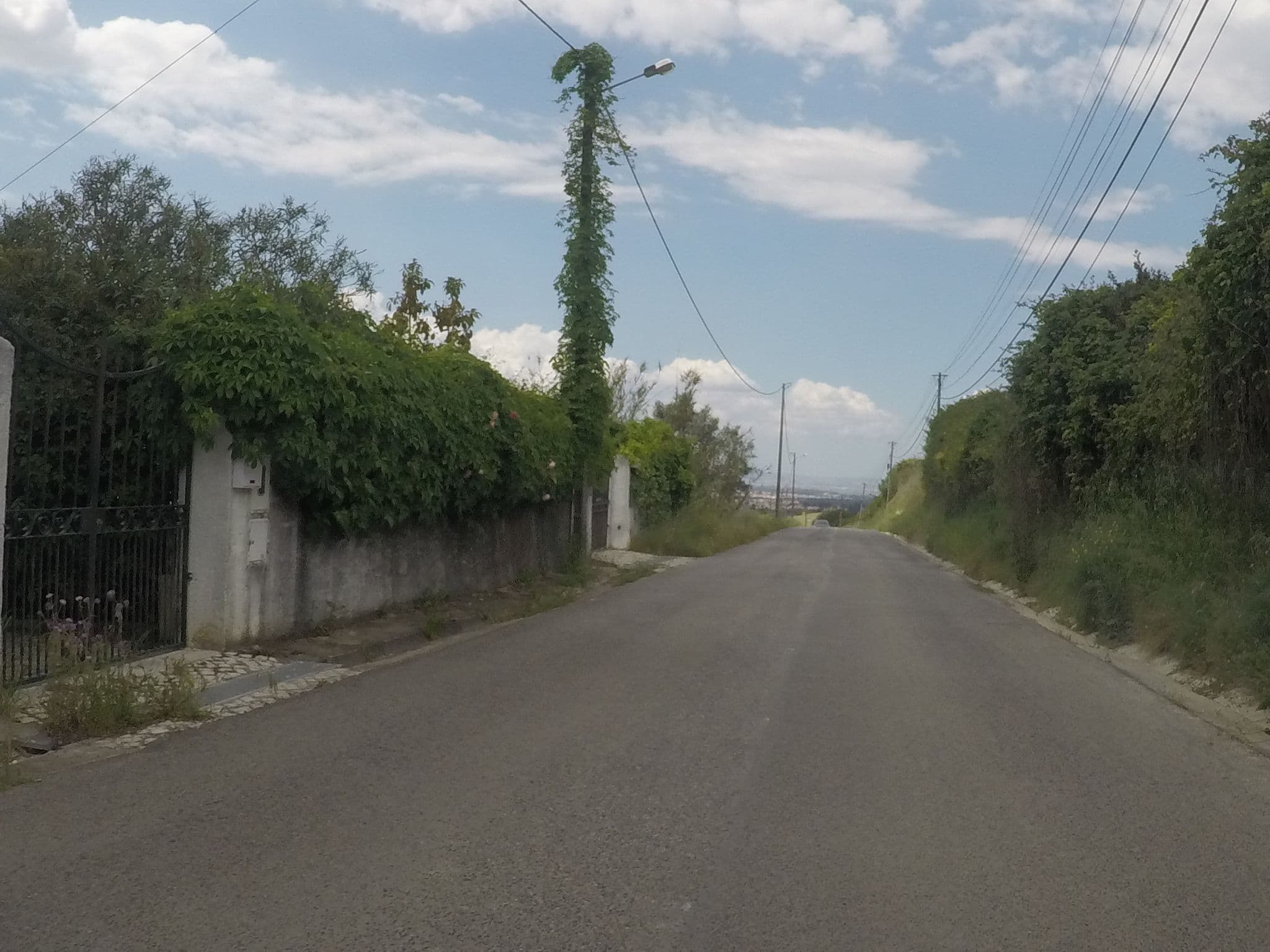 Street view near Quinta do Painel, Azeitão — © chrisbeddow (CC BY-SA · Mapillary)