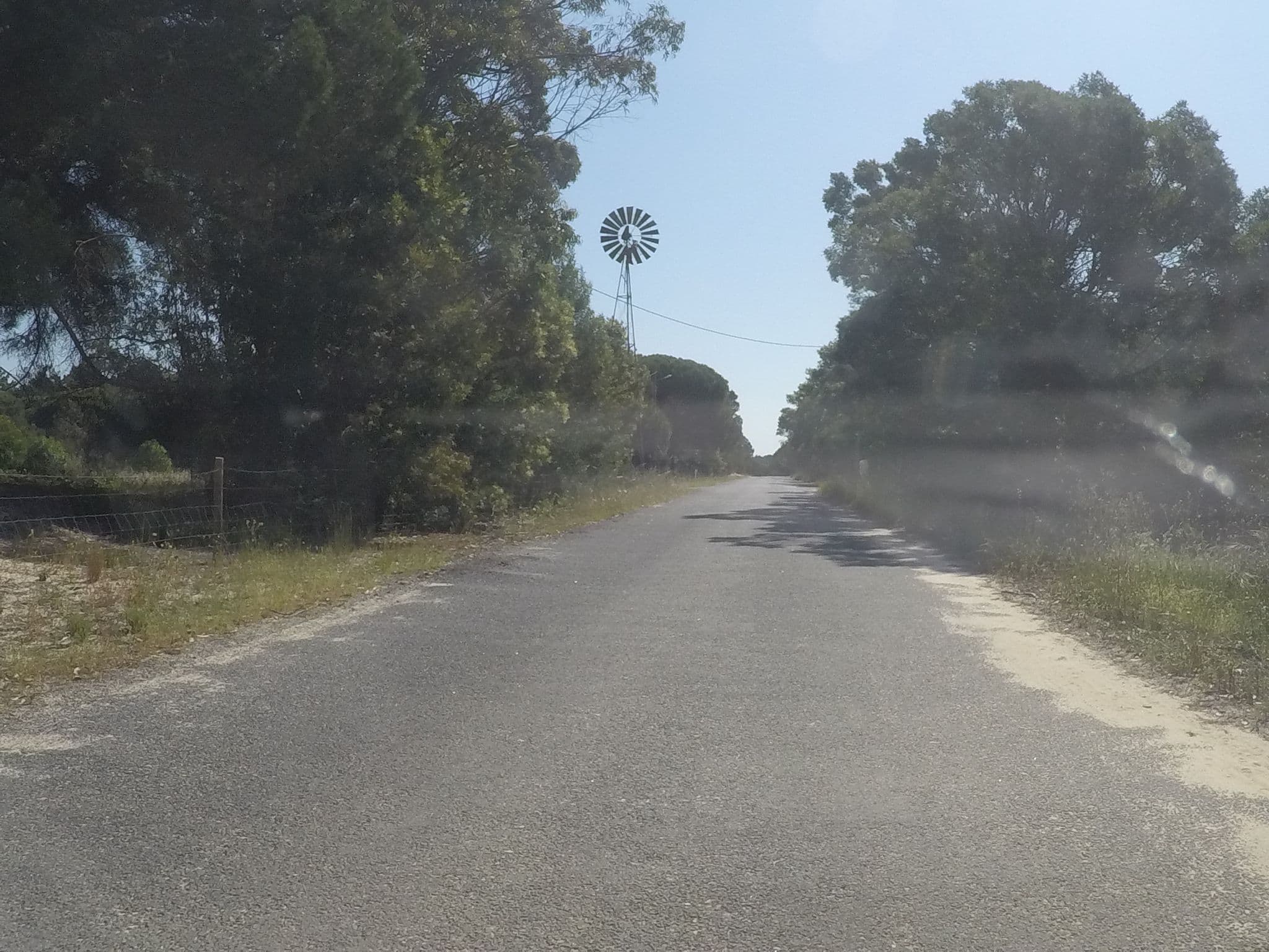 Street view near Uva do Monte - Blueberry Farm, Grândola — © chrisbeddow (CC BY-SA · Mapillary)