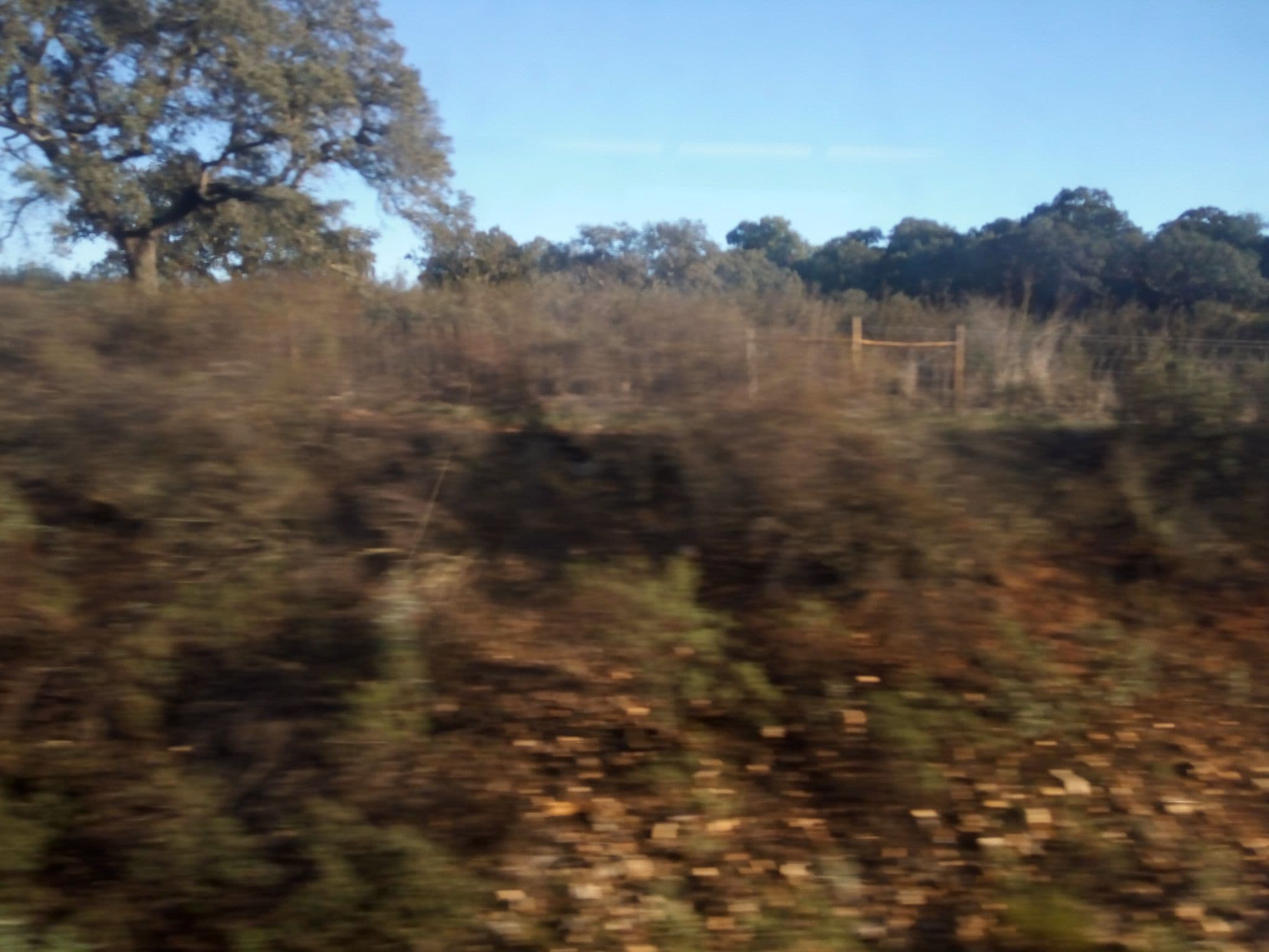 Street view near Aqua Pedra Dos Bicos, Aljustrel — © mapfool (CC BY-SA · Mapillary)