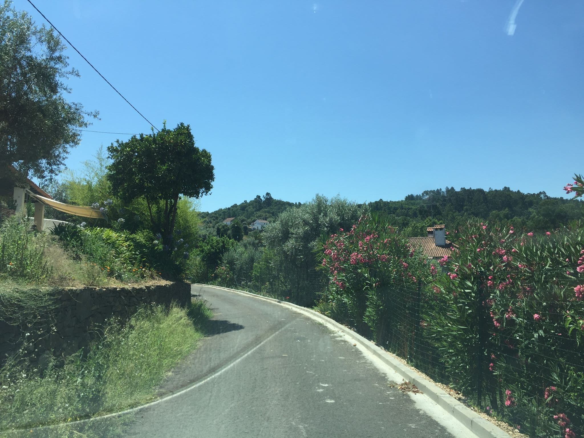 Street view near Casa do Pai Castelo de Bode, Tomar — © ptmap (CC BY-SA · Mapillary)