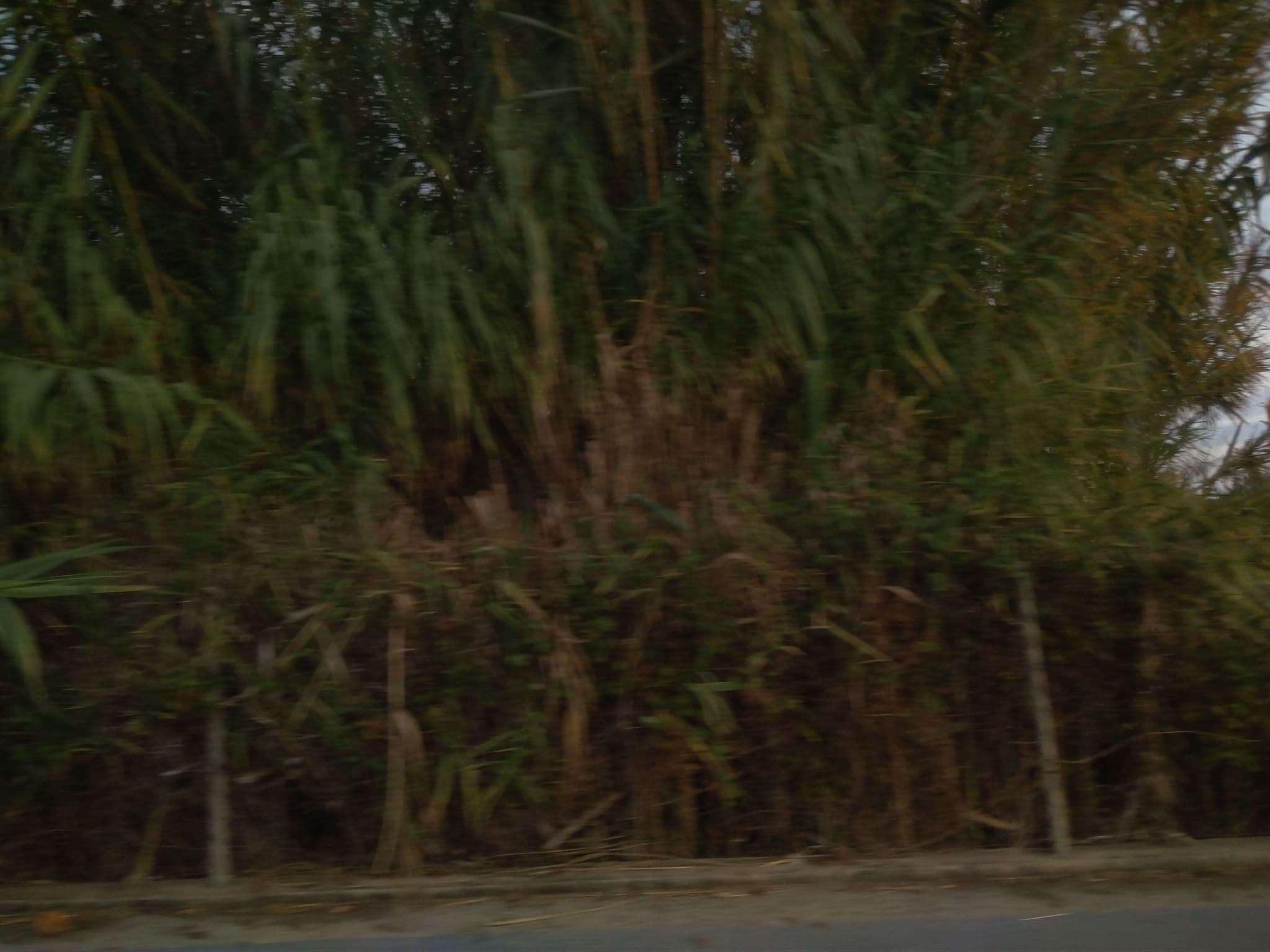 Street view near Quintinha da Foz Guest House, Tavira — © mapfool (CC BY-SA · Mapillary)