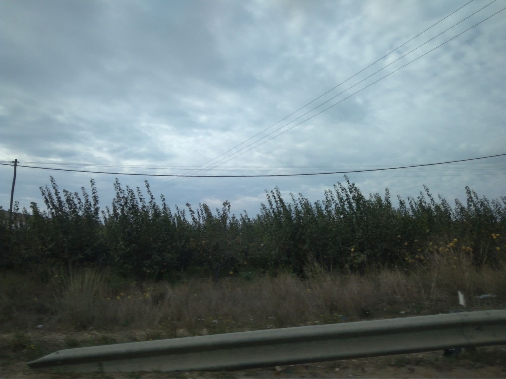 Street view near Hotel monaco, Faro — © mapfool (CC BY-SA · Mapillary)