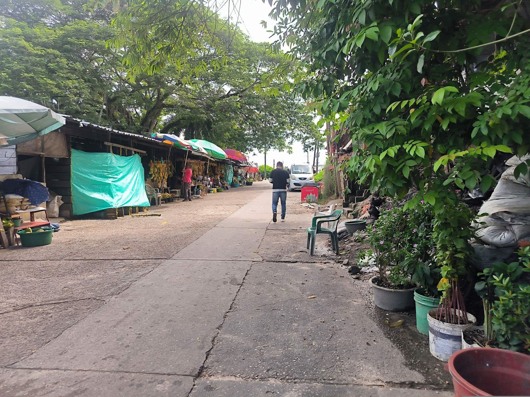 Street view near Hotel Roccas, Leticia — © johnarupire (CC BY-SA · Mapillary)