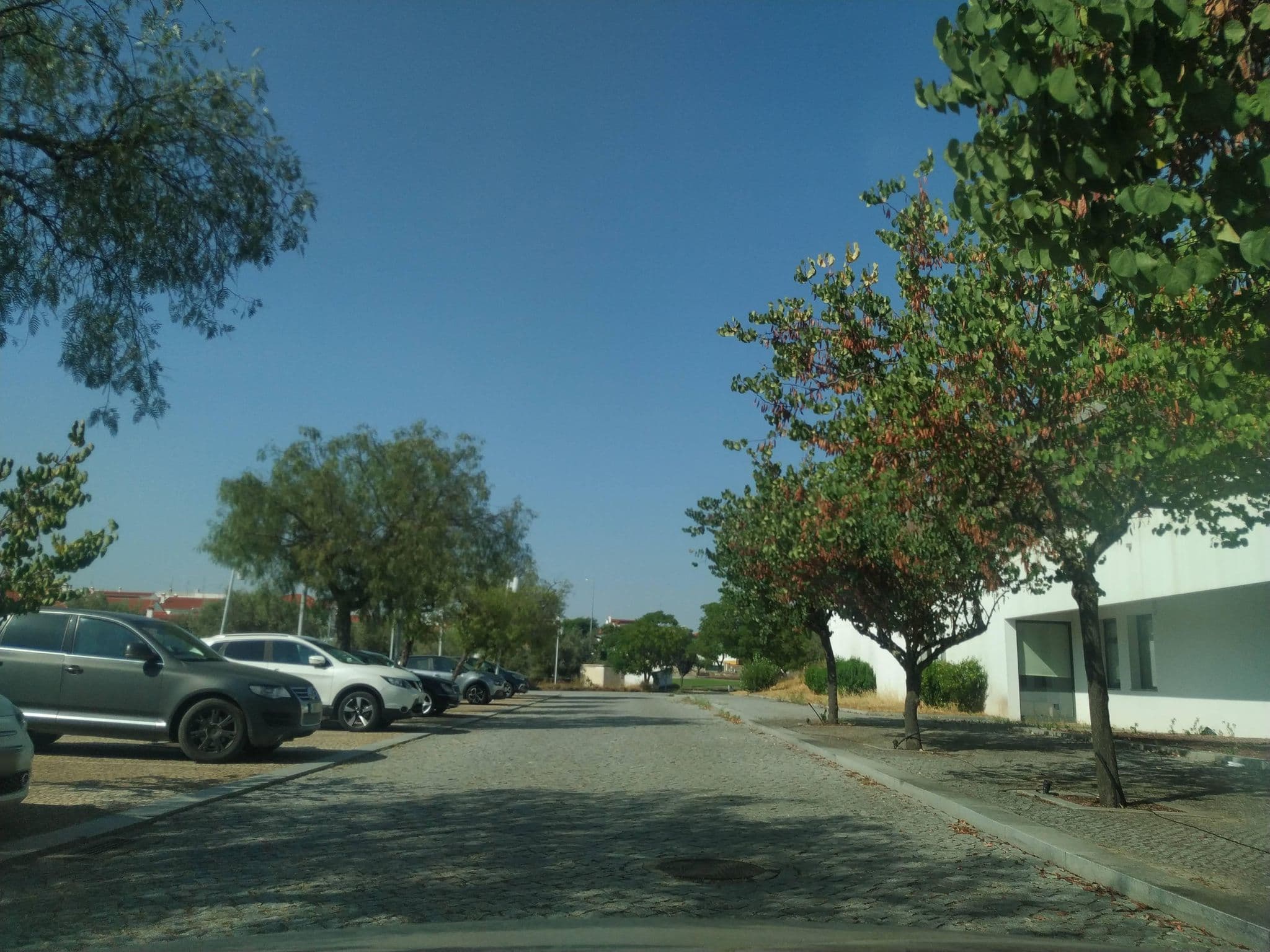 Street view near Hotel Rural Sto António, Arronches — © filohipo (CC BY-SA · Mapillary)