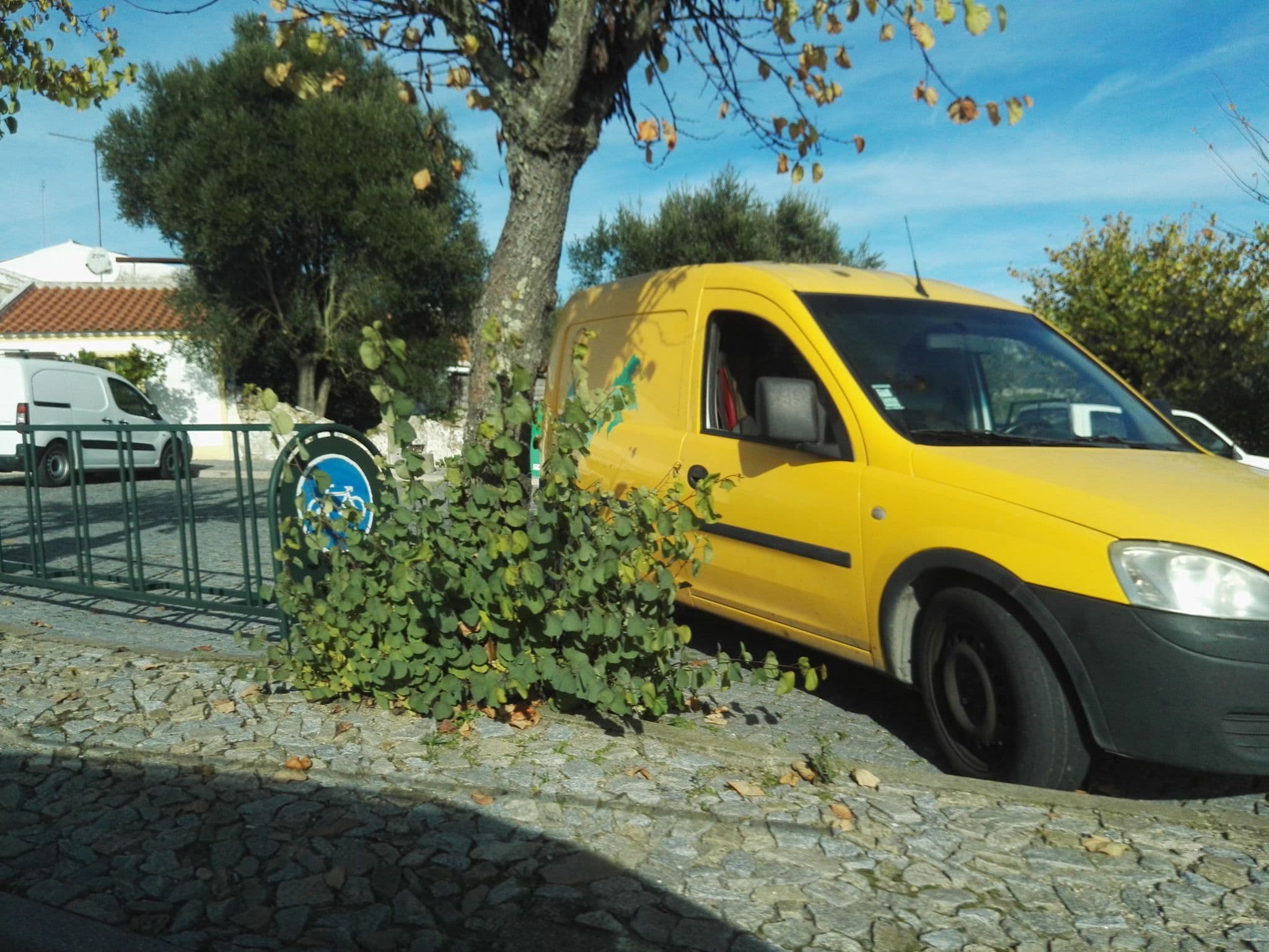 Street view near Monte da Fraga, Avis — © filipegraciosa (CC BY-SA · Mapillary)