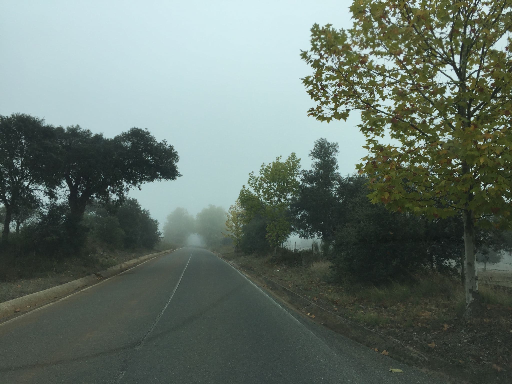 Street view near Herdade da Ordem, Alter do Chão — © ptmap (CC BY-SA · Mapillary)
