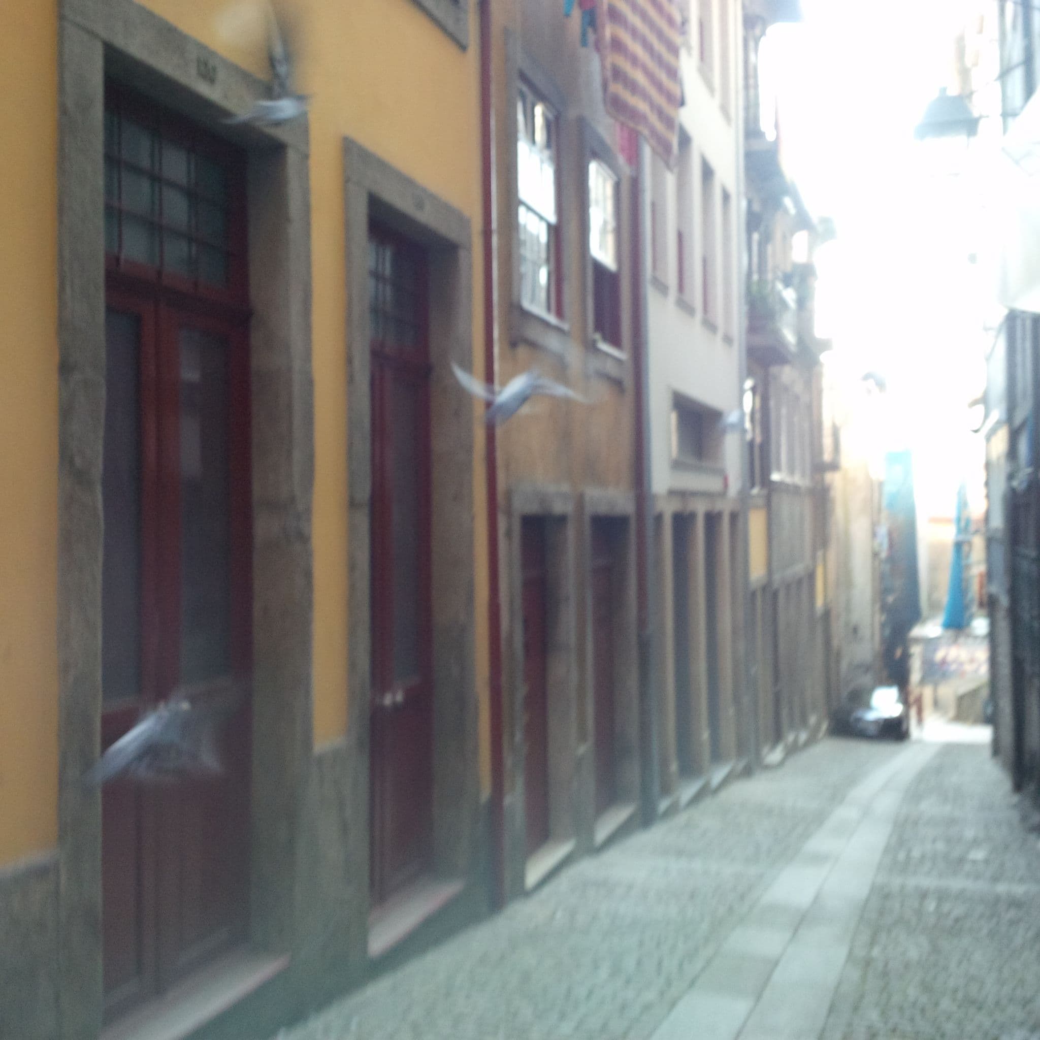Street view near Try Oporto - Ribeira, Porto — © agranizo (CC BY-SA · Mapillary)