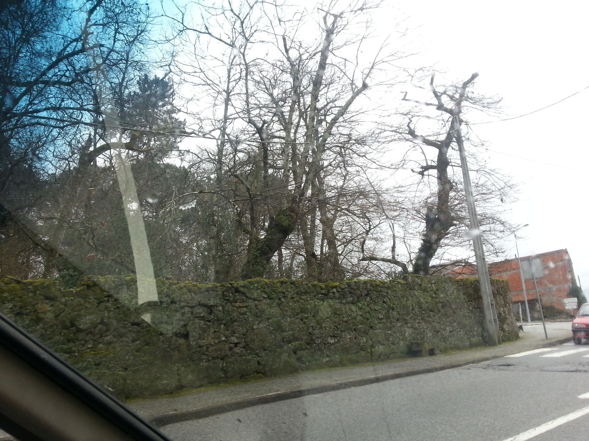 Street view near Maria e Jesus Ferreira, Mangualde — © ozflor (CC BY-SA · Mapillary)