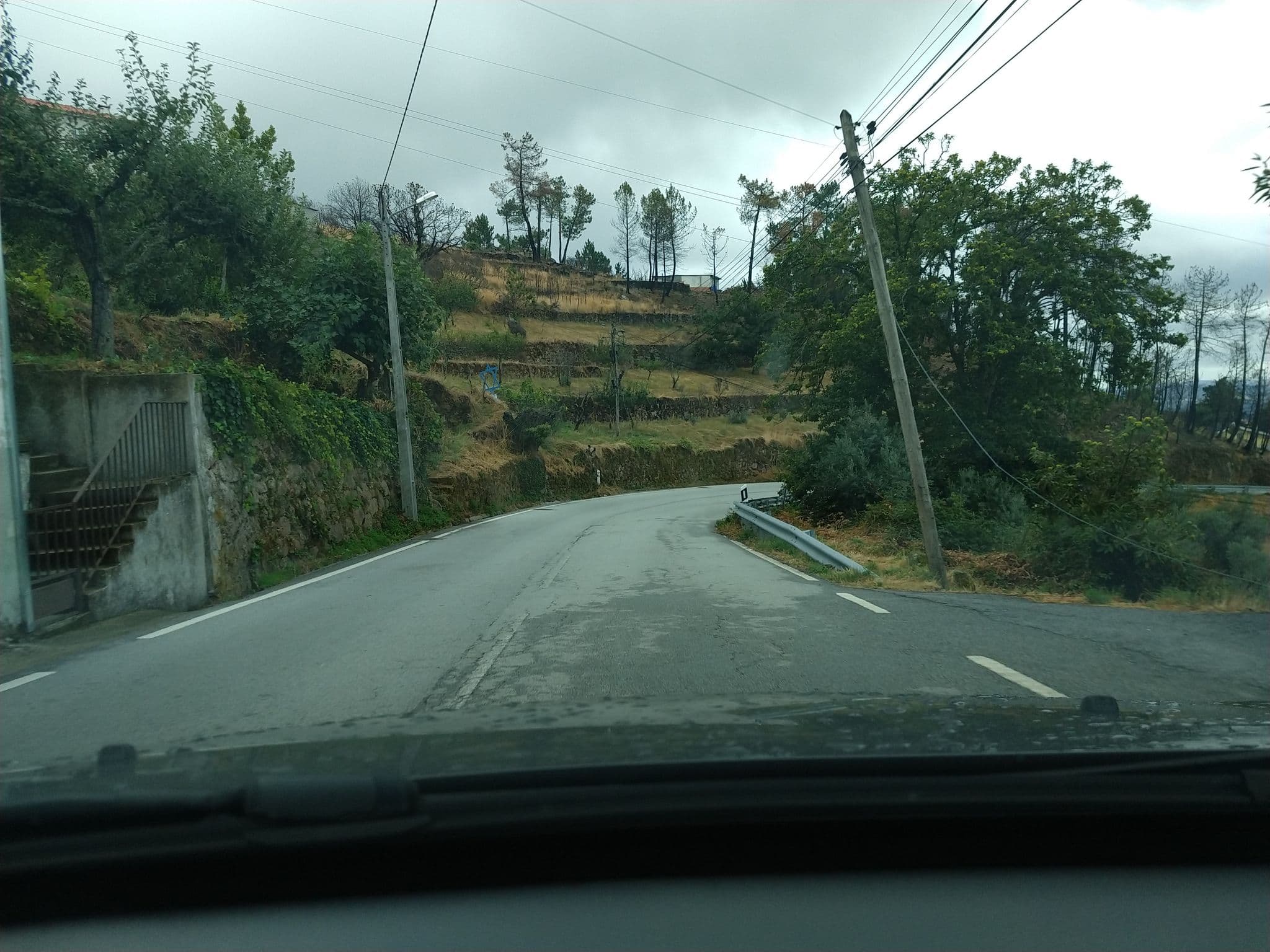 Street view near Residencial Varandim da Serra, Seia — © asimonelli (CC BY-SA · Mapillary)