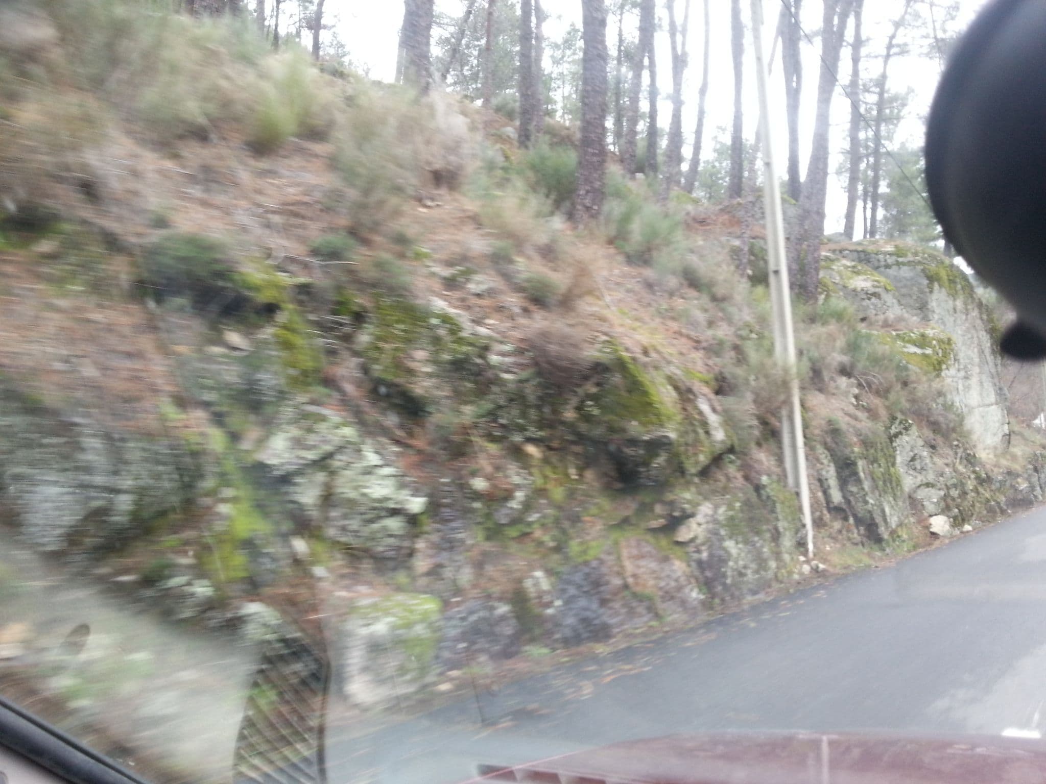 Street view near Inatel, Manteigas — © ozflor (CC BY-SA · Mapillary)