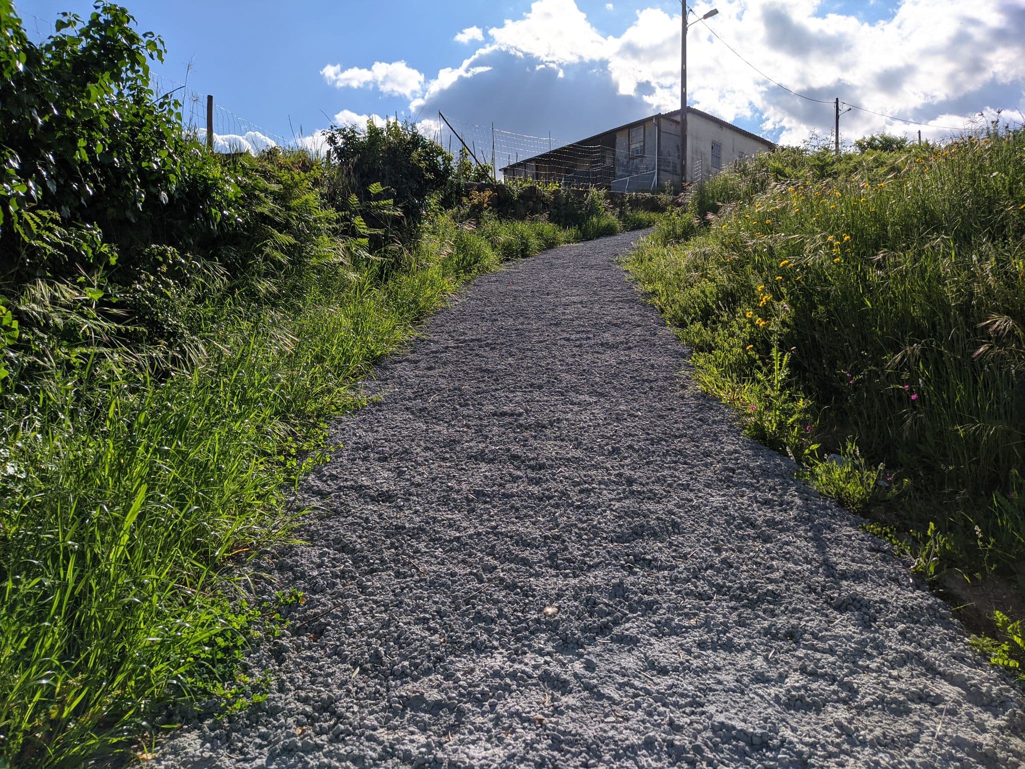 Street view near Covilha Jardim Hotel, Covilhã — © hedgiept (CC BY-SA · Mapillary)