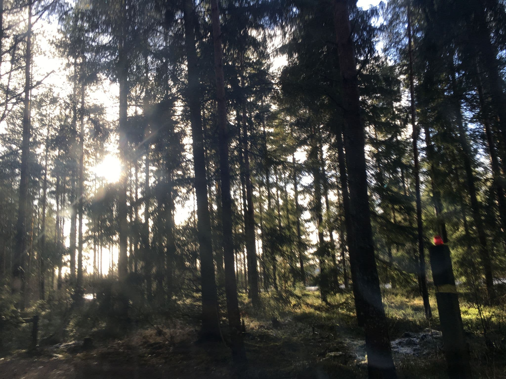 Street view near Eläinten Hautausmaa, Raisio — © mapper1 (CC BY-SA · Mapillary)