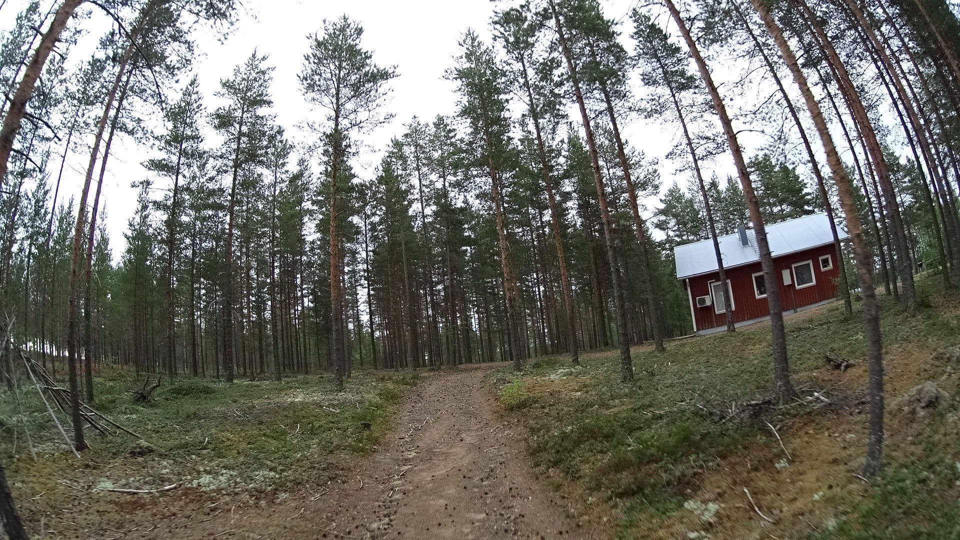 Street view near Harjupirtti, Jämijärvi — © kino (CC BY-SA · Mapillary)