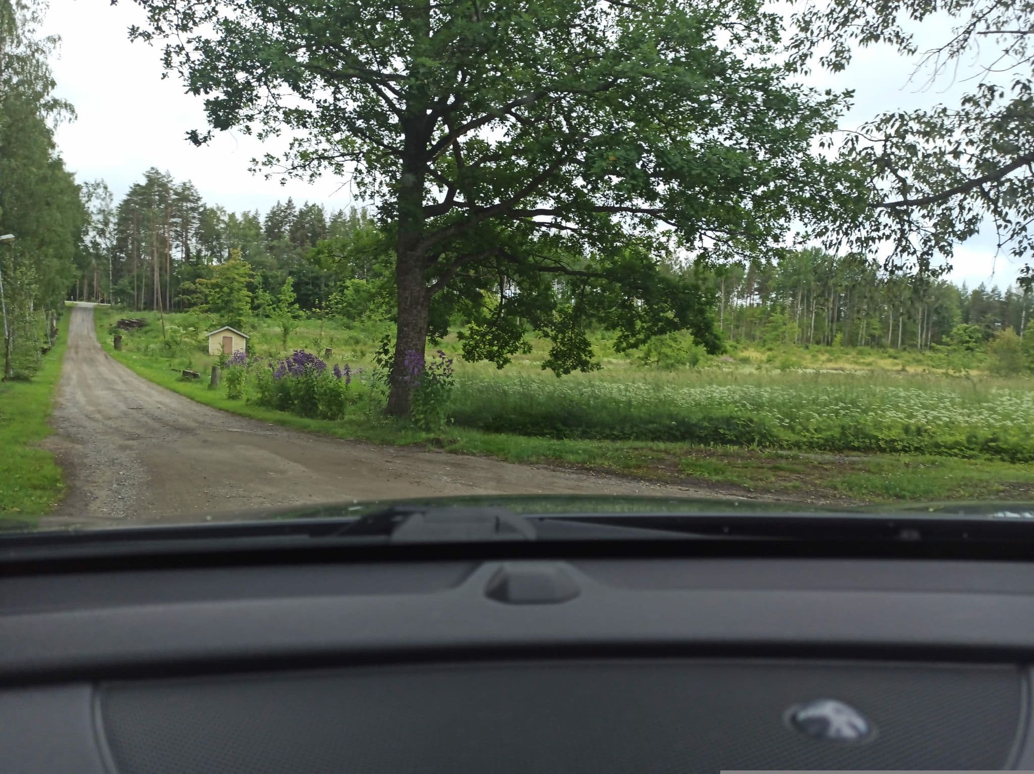 Street view near WillaNuttu, Enonkoski — © Larma (CC BY-SA · Mapillary)