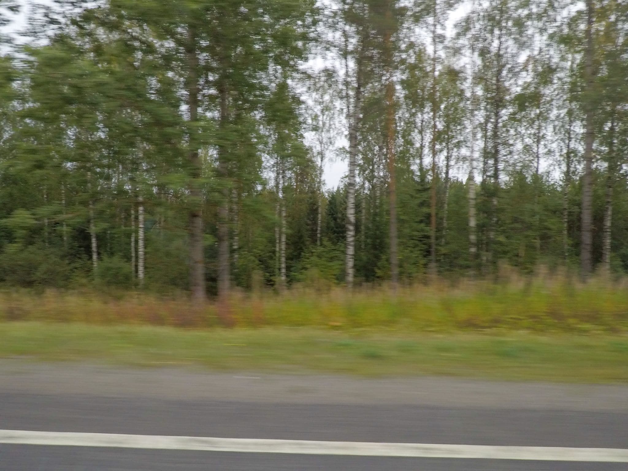 Street view near Särkämäinen, Mikkeli — © esario (CC BY-SA · Mapillary)