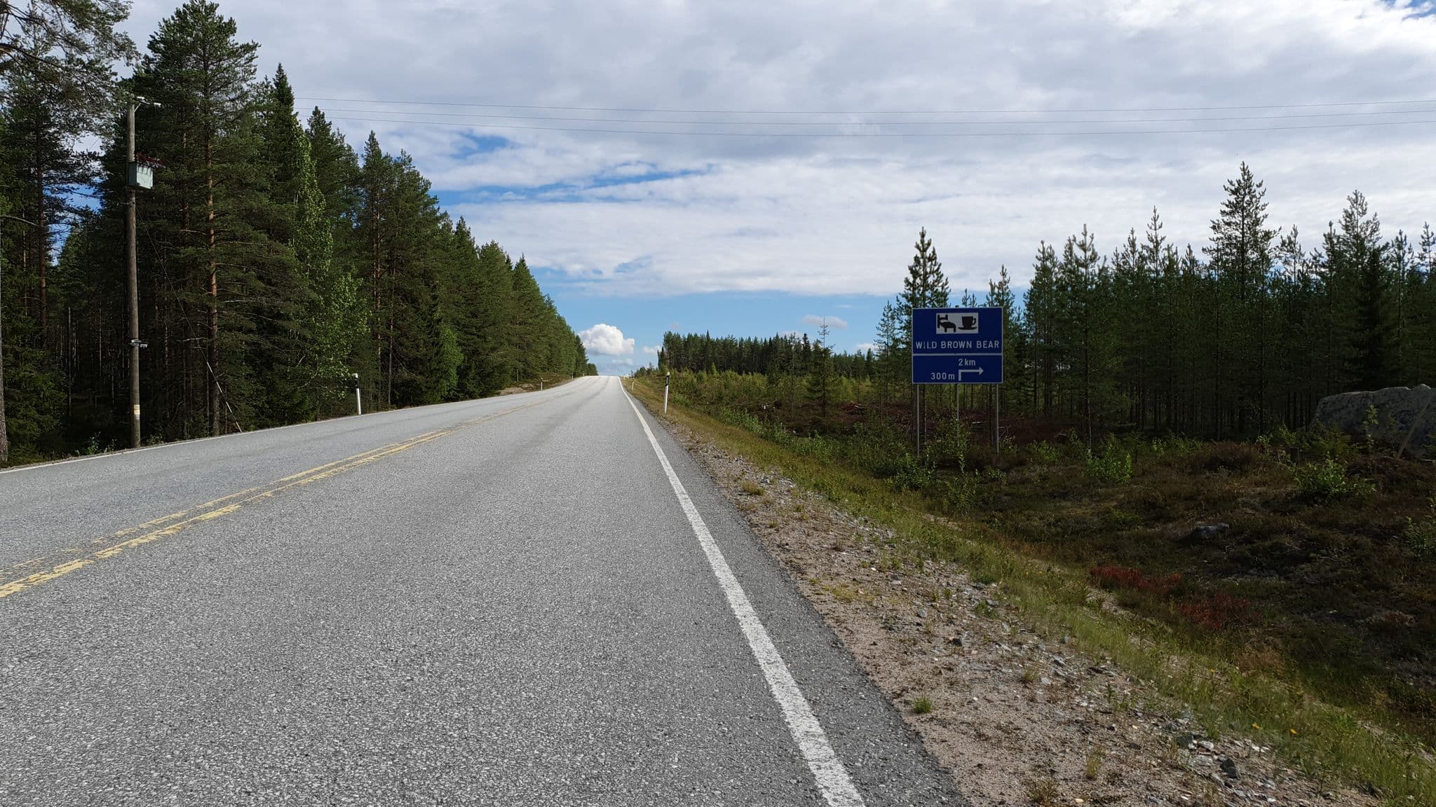 Street view near wild brown bear, Kuhmo — © houtari (CC BY-SA · Mapillary)