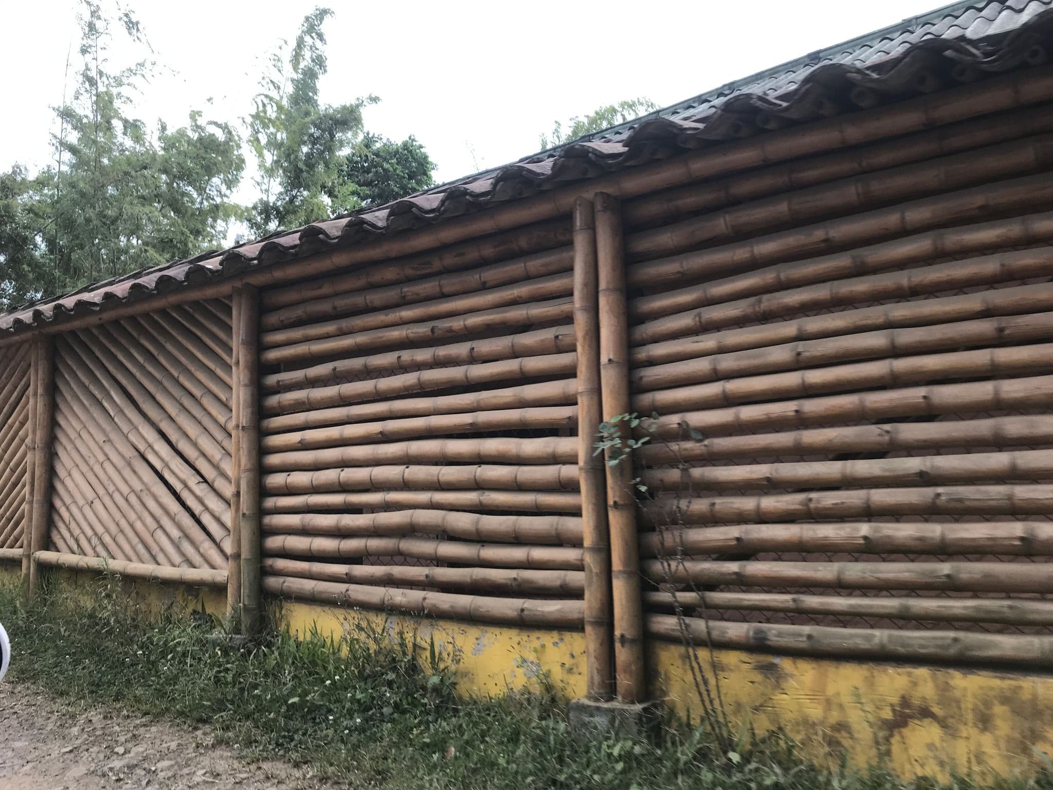 Street view near Finca Margot, Cali — © ejegg (CC BY-SA · Mapillary)