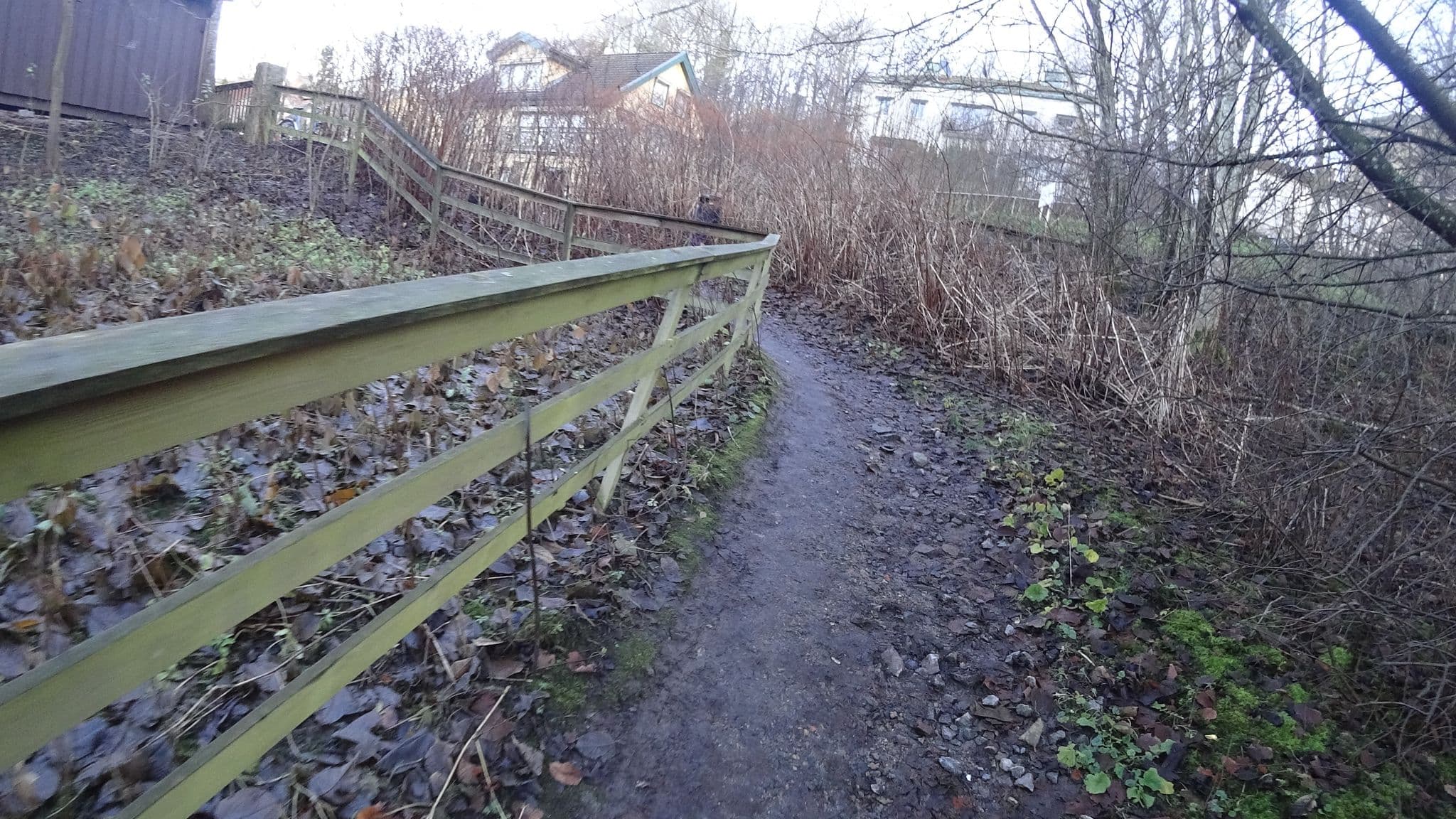 Street view near Hortensia Förlag och Galleri, Majorna — © tobstu (CC BY-SA · Mapillary)