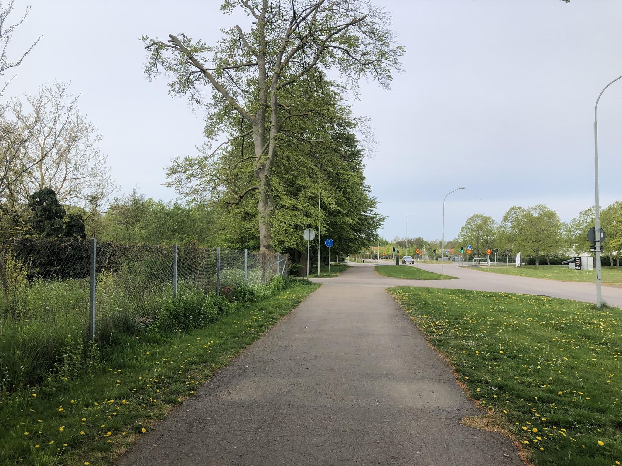 Street view near C&T´s Allt, Landskrona — © fa30 (CC BY-SA · Mapillary)