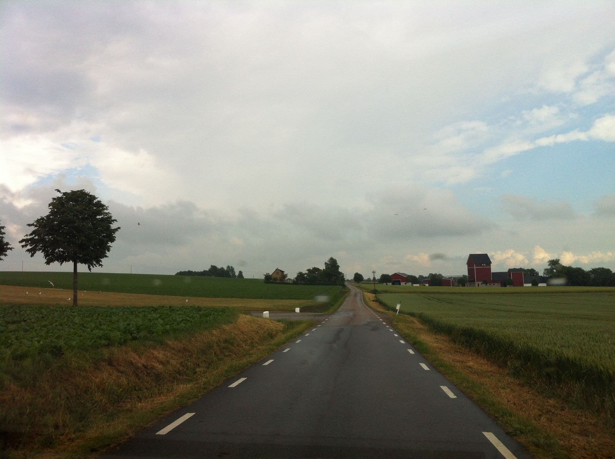 Street view near Fredshög B&B, Glumslöv — © ugz (CC BY-SA · Mapillary)