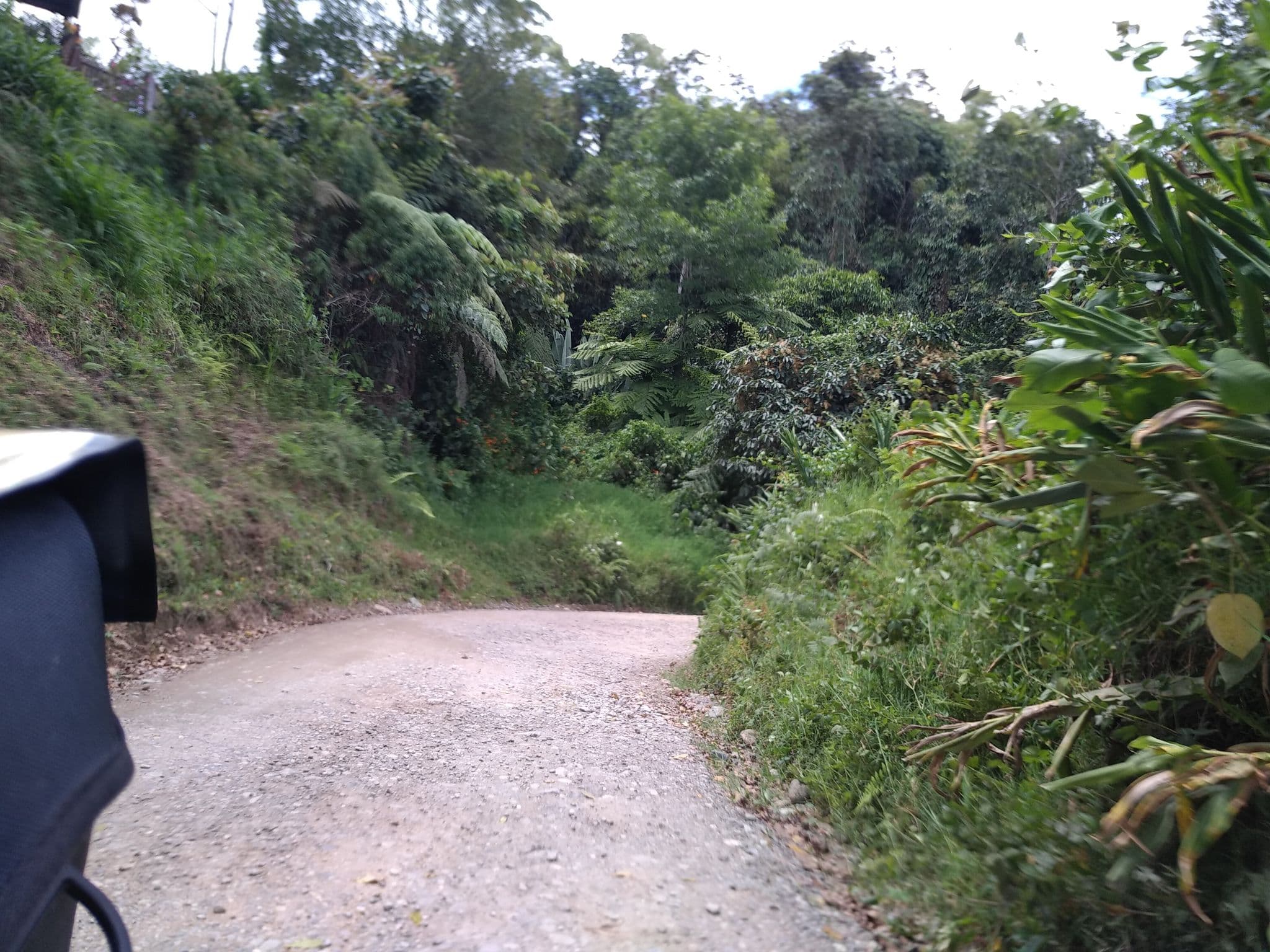 Street view near Yambolombia Natural Hostal, Salento — © nomadmapper (CC BY-SA · Mapillary)