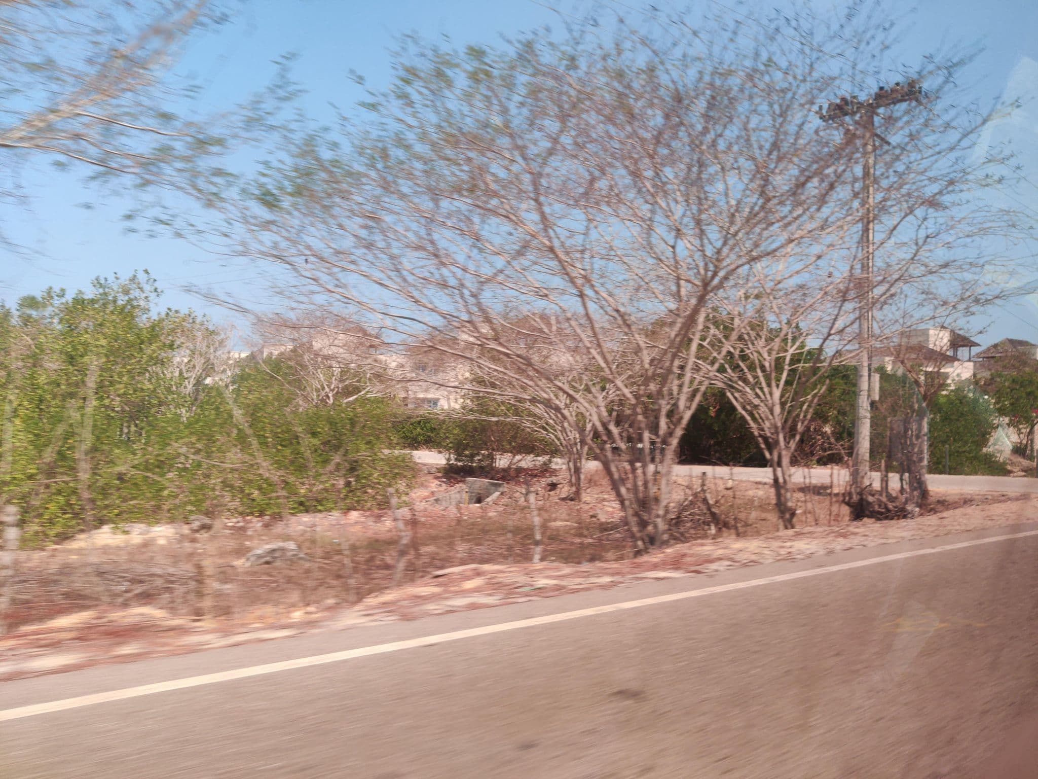 Street view near Punta Iguana, Turbaná — © tumblecow (CC BY-SA · Mapillary)