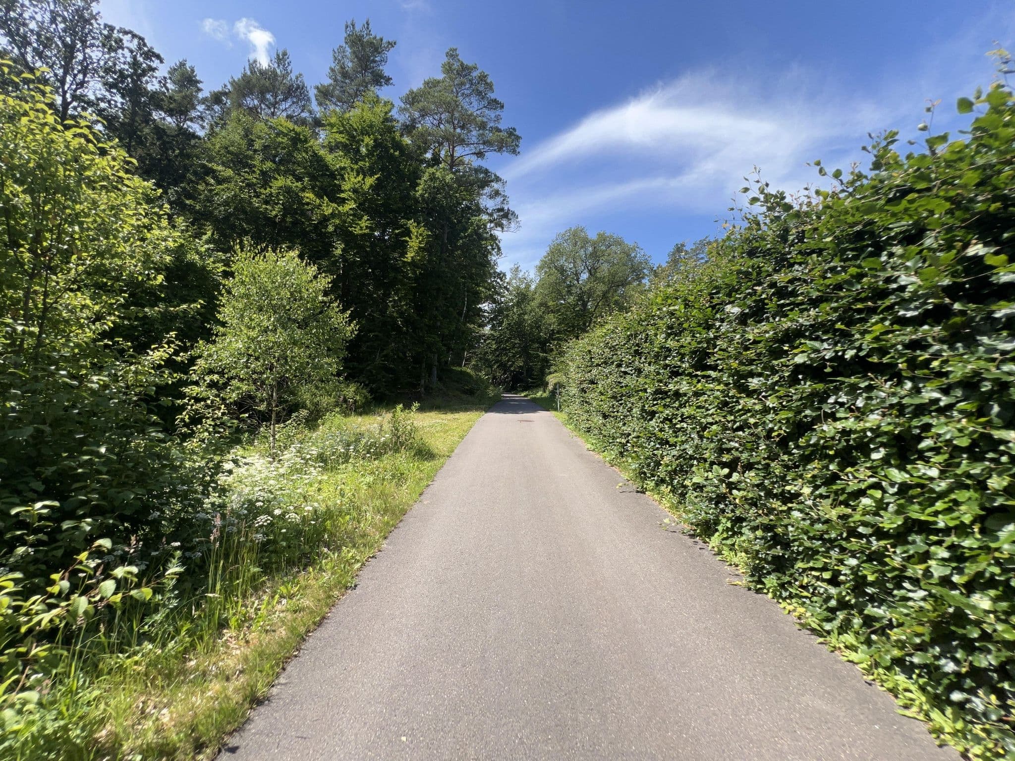 Street view near Robertsson International, Åled — © Lynx_Solutions (CC BY-SA · Mapillary)