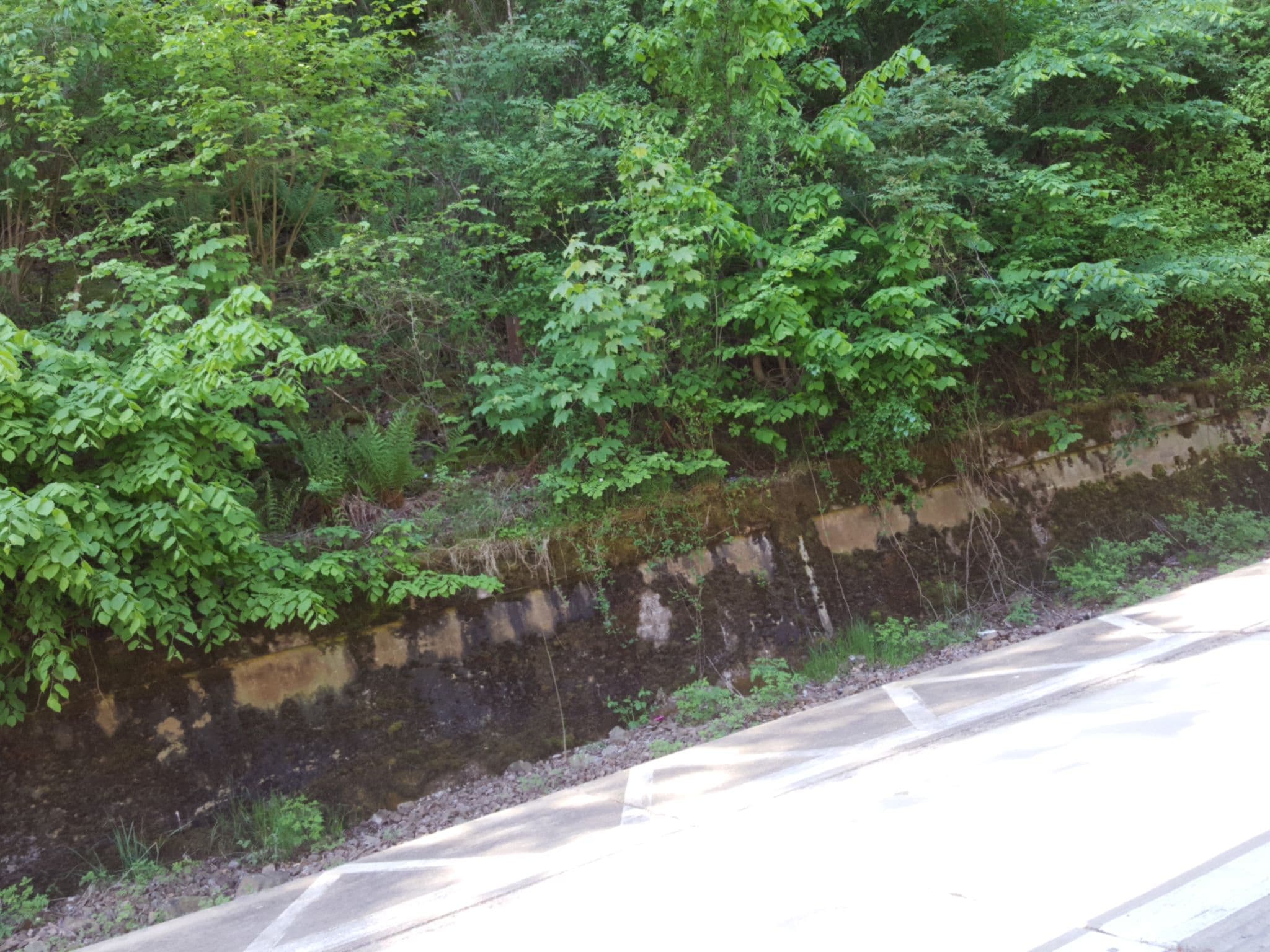 Street view near Tree Top Hill, Båstad — © mkw (CC BY-SA · Mapillary)
