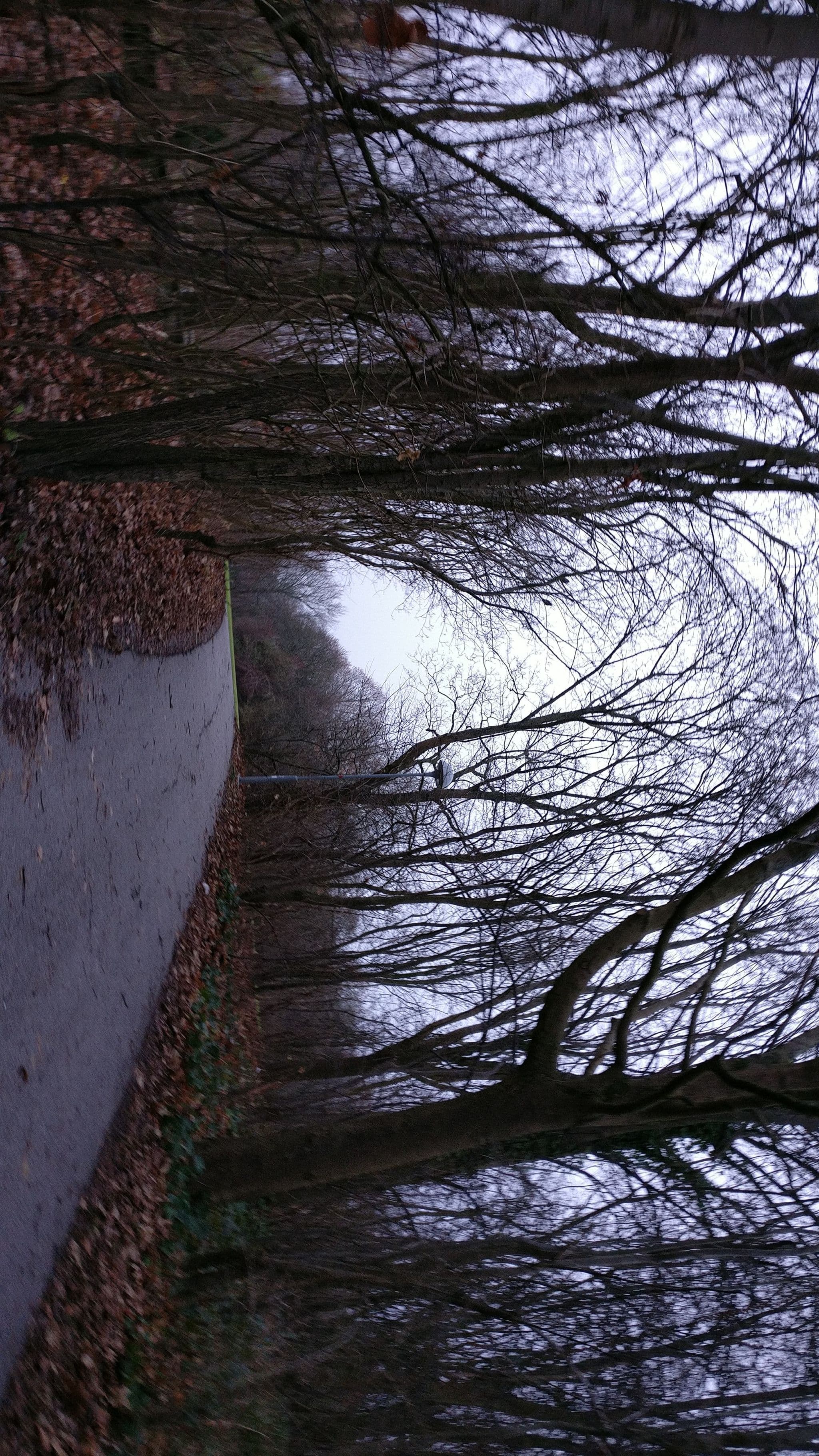 Street view near Villa Weibull, Lund — © exoji2e (CC BY-SA · Mapillary)
