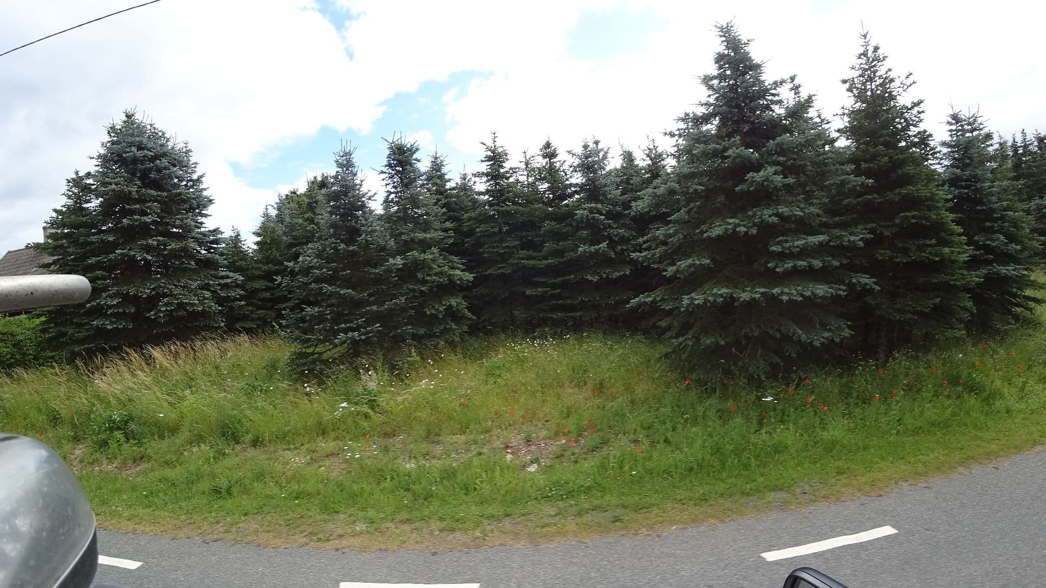 Street view near Bertilstorp 2:42, Degeberga — © abuzaidh (CC BY-SA · Mapillary)