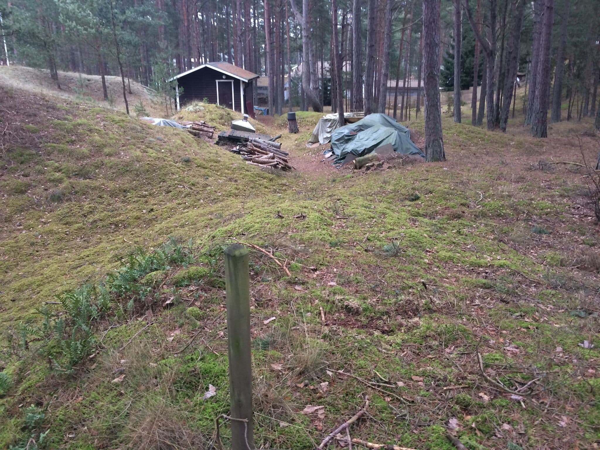 Street view near Yngsjöhus, Åhus — © jowind (CC BY-SA · Mapillary)