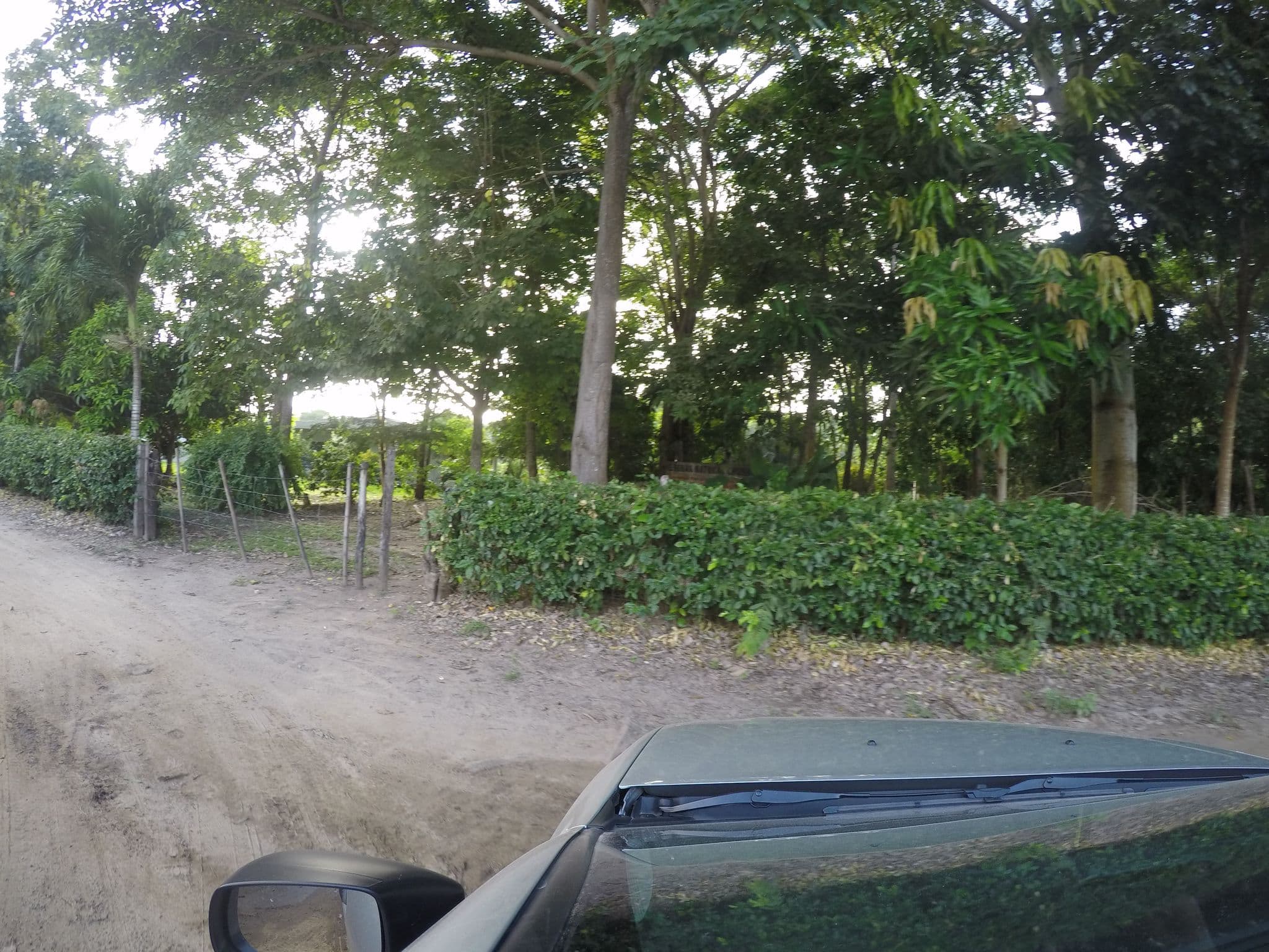 Street view near Casa Semilla, Dibulla — © t0mmy (CC BY-SA · Mapillary)
