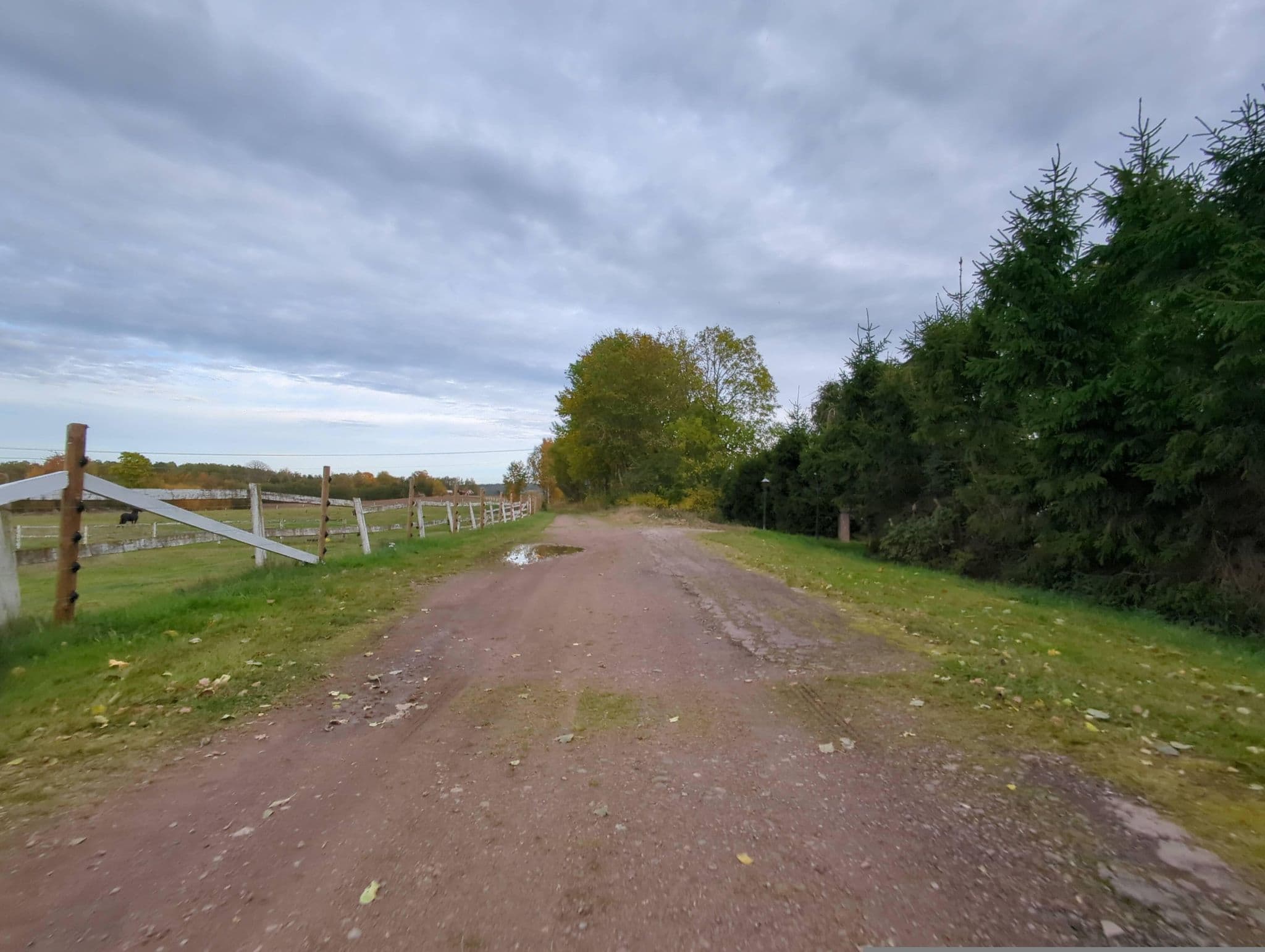 Street view near Islandshästarna på Stora Kråkhult, Tibro — © Svipdag (CC BY-SA · Mapillary)